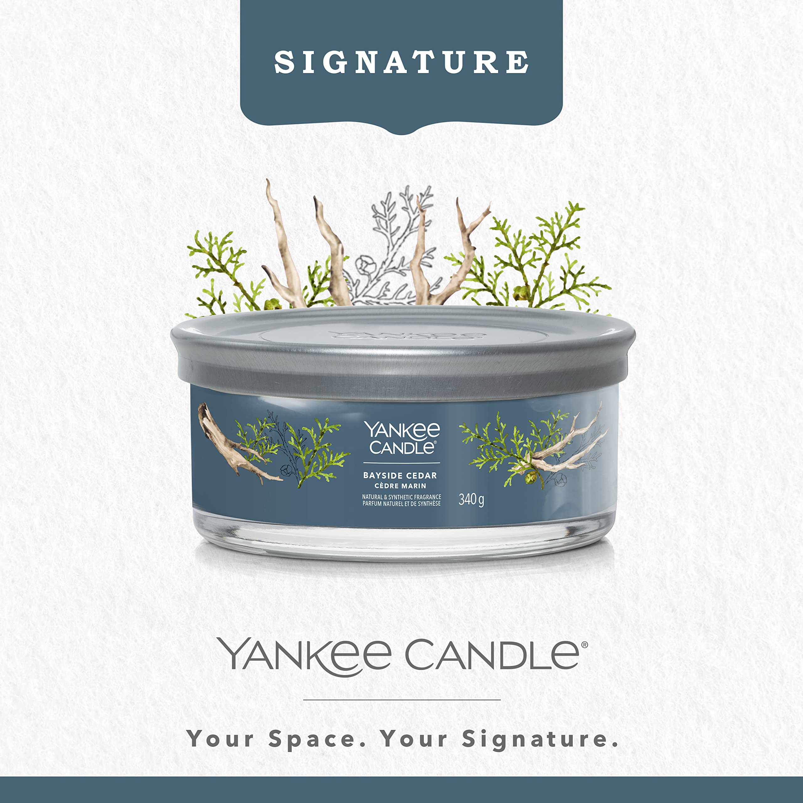 Yankee Candle Signature Duftkerze | Bayside Zedernholz Multi-Docht Tumbler Kerze | Sojawachs-Mischung lang brennende Kerze | Perfektes Geschenk für Frauen