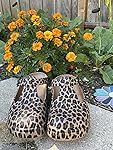 Review Image by Bright_garden Bright_garden