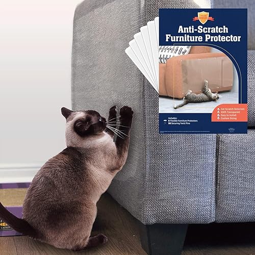 Amazon Pet Product B07DT83CBV — Amazon product photo