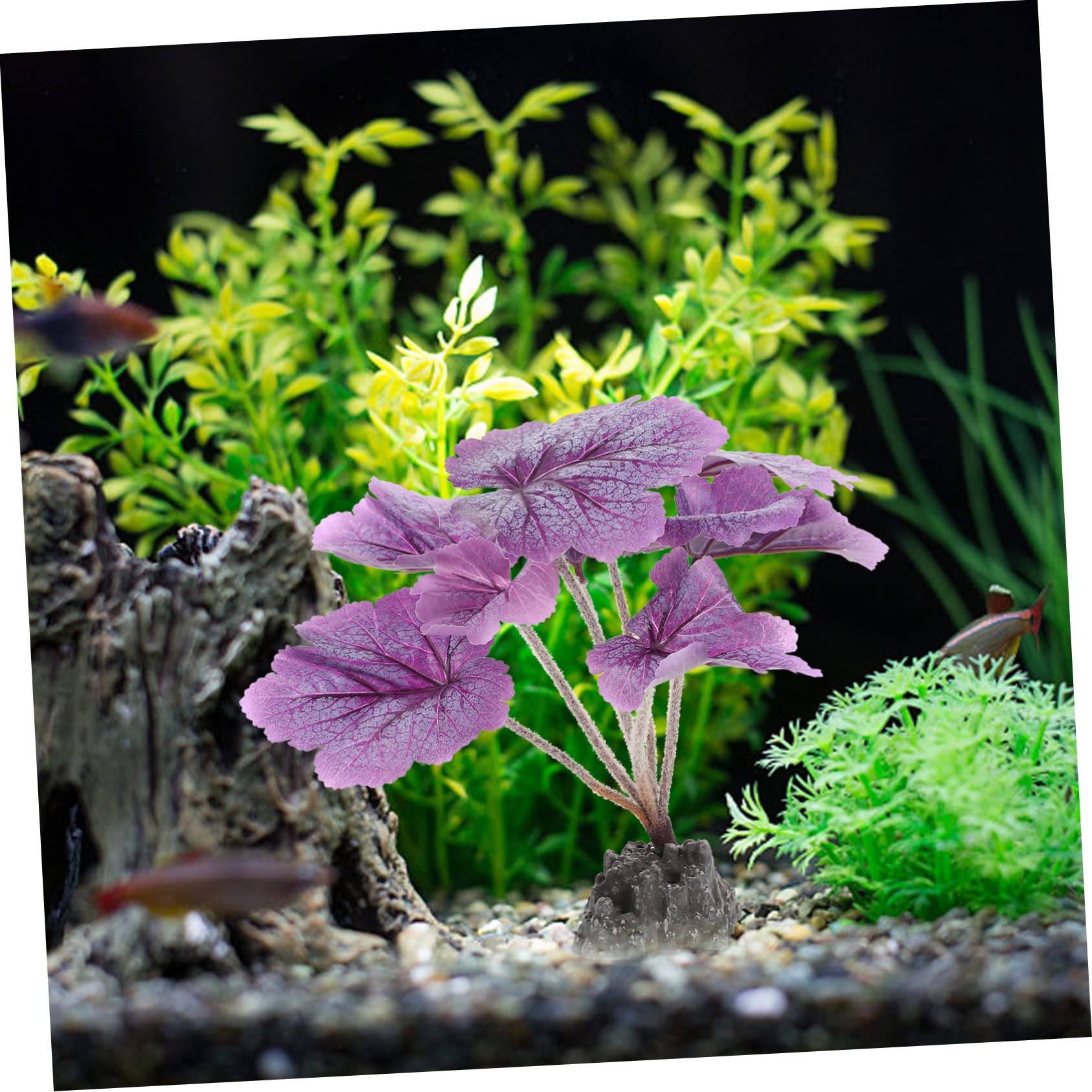 FOMIYES 3stücke Künstliche Aquarium Pflanzen Simulierte Wasserpflanze Hochwertigem Kunststoff Für Natürliche Dekoration Im Fischbecken Versteckmöglichkeiten Für Fische Und Eine