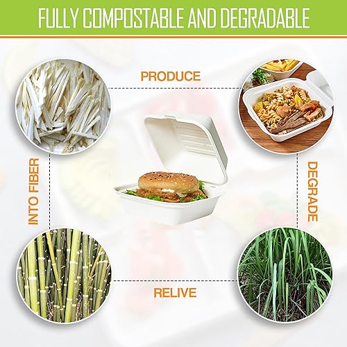 Miniatura 7 de Raj Eco To Go Contenedores de alimentos para llevar de 6 pulgadas, cajas desechables para llevar, tapas ecológicas con bisagras, aptos para