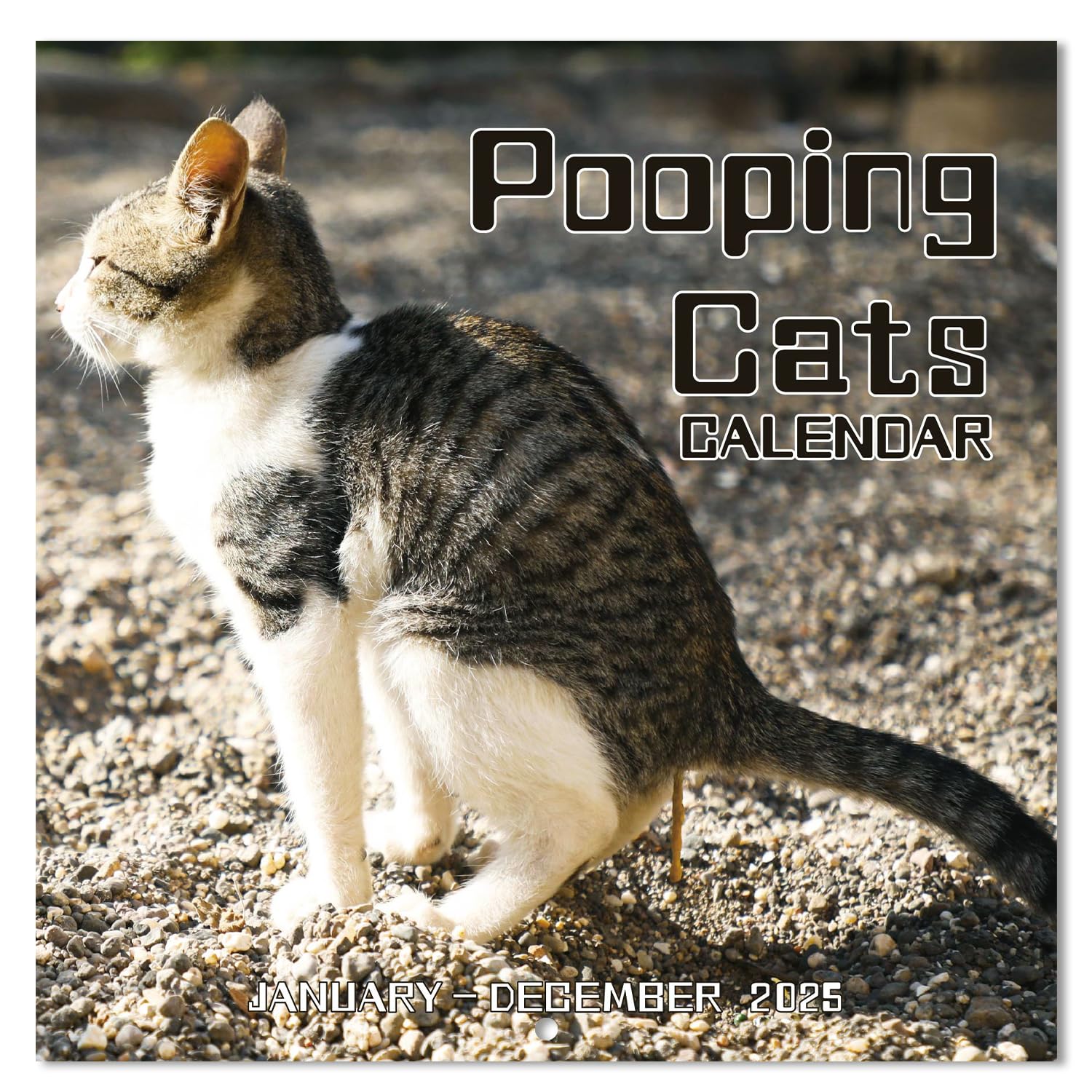 Pooping Cats Calendar 2025 - Funny Calendar 2025 uk, From January to December 2025, Perfect White Elephant Gifts or Gag Gifts, 12 Differenet Funny Pooping Cats, 30.5 x 61 cm (Open)