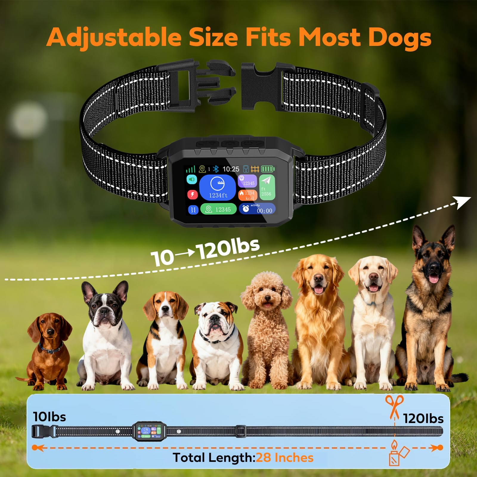 GPS Wireless Dog Fence & Training Collar System, Free App/Remote Controlled Custom Boundary up to 7000ft, Beep/Vibration/Safe Correction Modes, Early Alert, Waterproof for Dogs 10+ lbs - image 5
