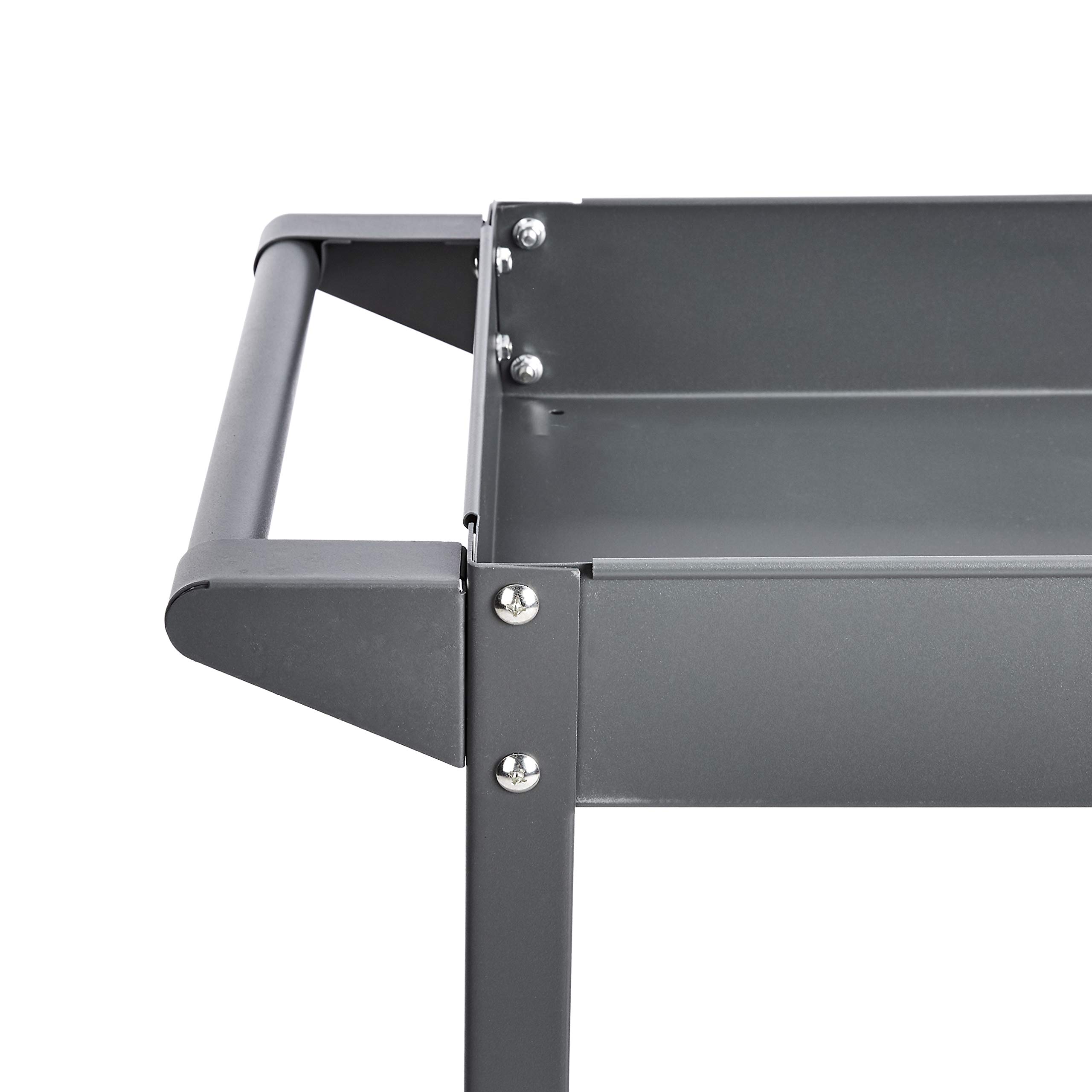 Amazon Basics - Carrello multiuso, in acciaio, 2 ripiani a vaschetta, portata 181 kg, grigio