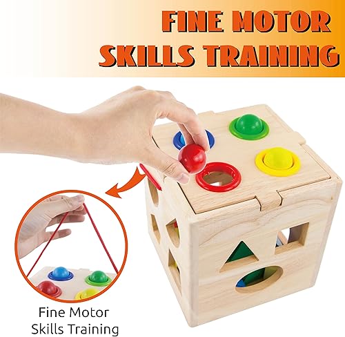 Miniatura 5 de Evmark Toys & Games Formas de madera y cubo de actividades - Formas simples para niños pequeños y preescolares Montessori Learning