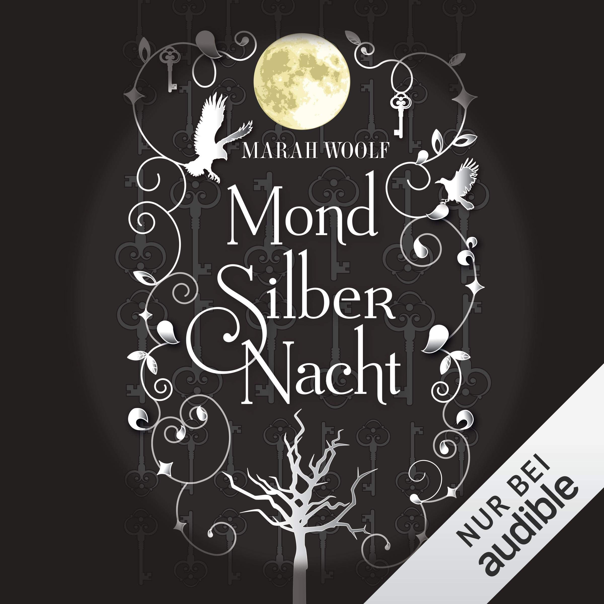 Cover art for MondSilberNacht