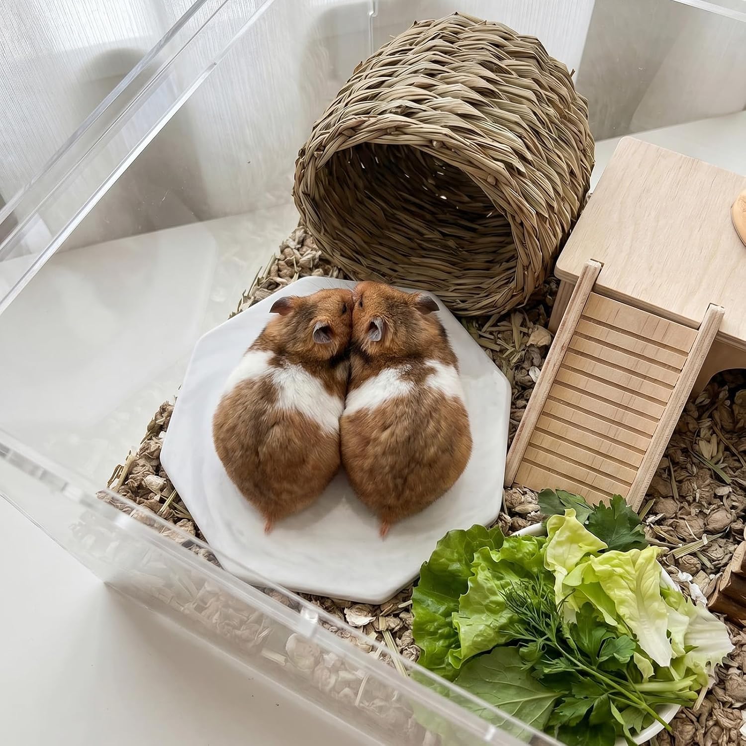 Hamster Cooling Ceramic Plate, Octagon Marble Pattern Cooling Bed for Small Animals, Summer Heat Relief Pad for Hamsters