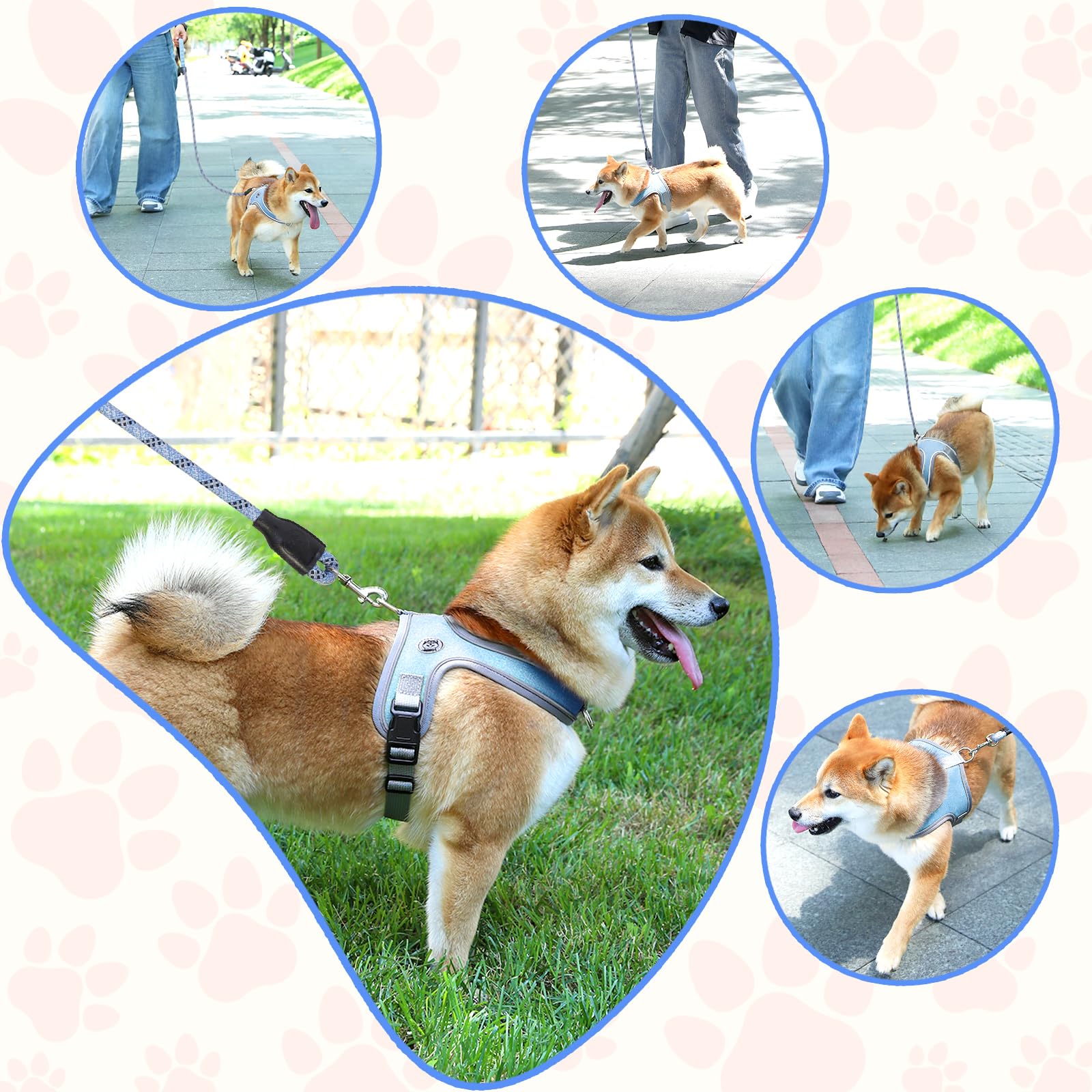 Dog Harness and Leash Set, No Pull Saddle Style Pet Harness, Breathable Mesh Adjustable Reflective Dog Vest for Dogs and Cat Medium Small Harness 2 D-Rings (Blue, L) - image 6