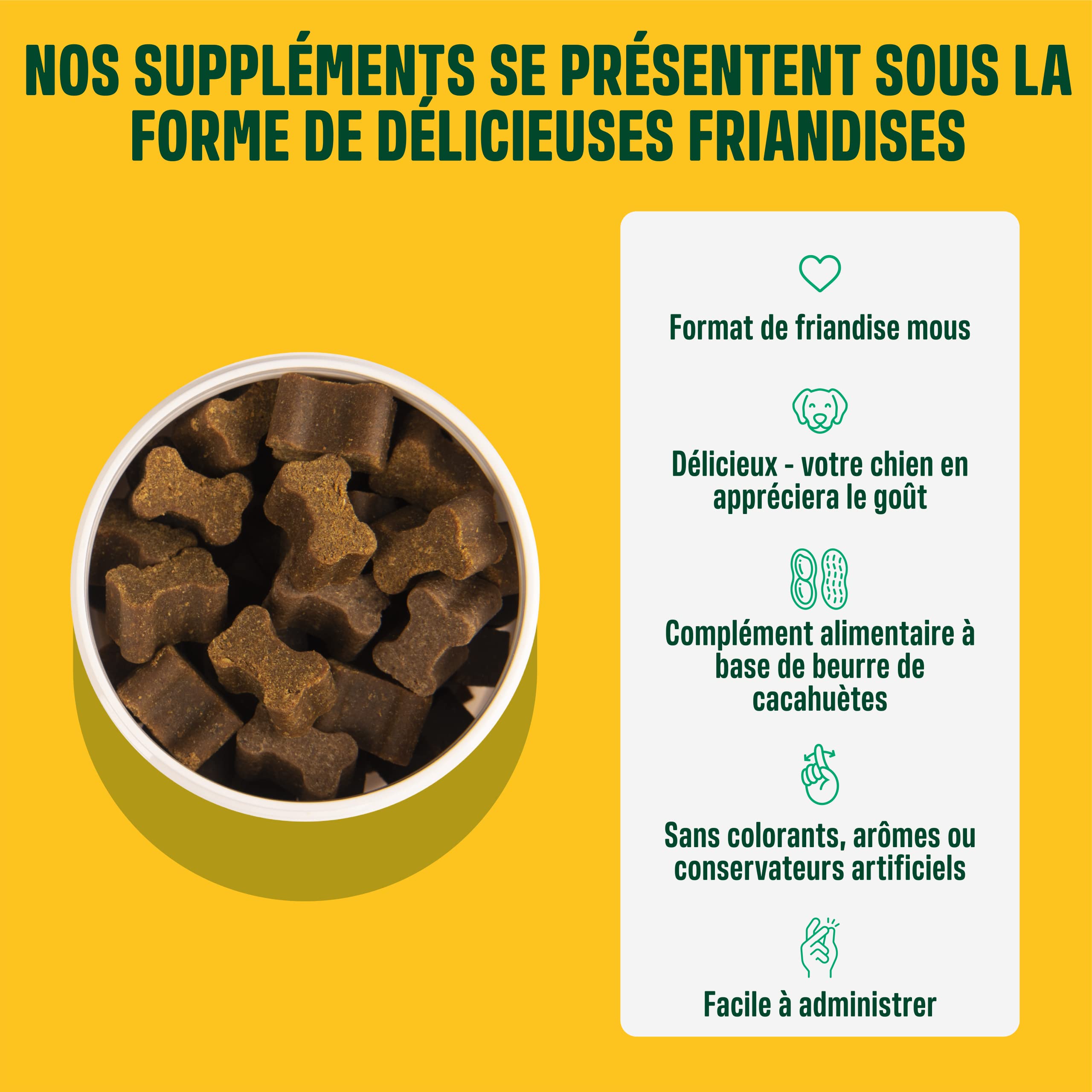 ivvi Probiotic pour Chien - Complément Alimentaire pour Bien-Etre Digestif - Probiotiques, Citrouille, Avoine, Graines de Lin et de Courge - 60 Délicieuses Friandises Végétariennes, 270g