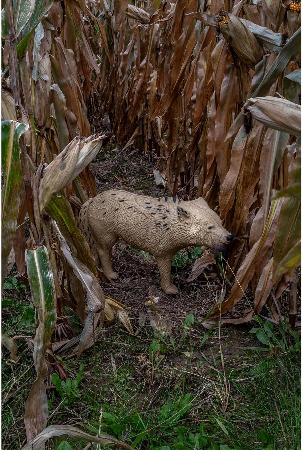 Rinehart Targets Rinehart Woodland Coyote Target Brown : Sports & Outdoors