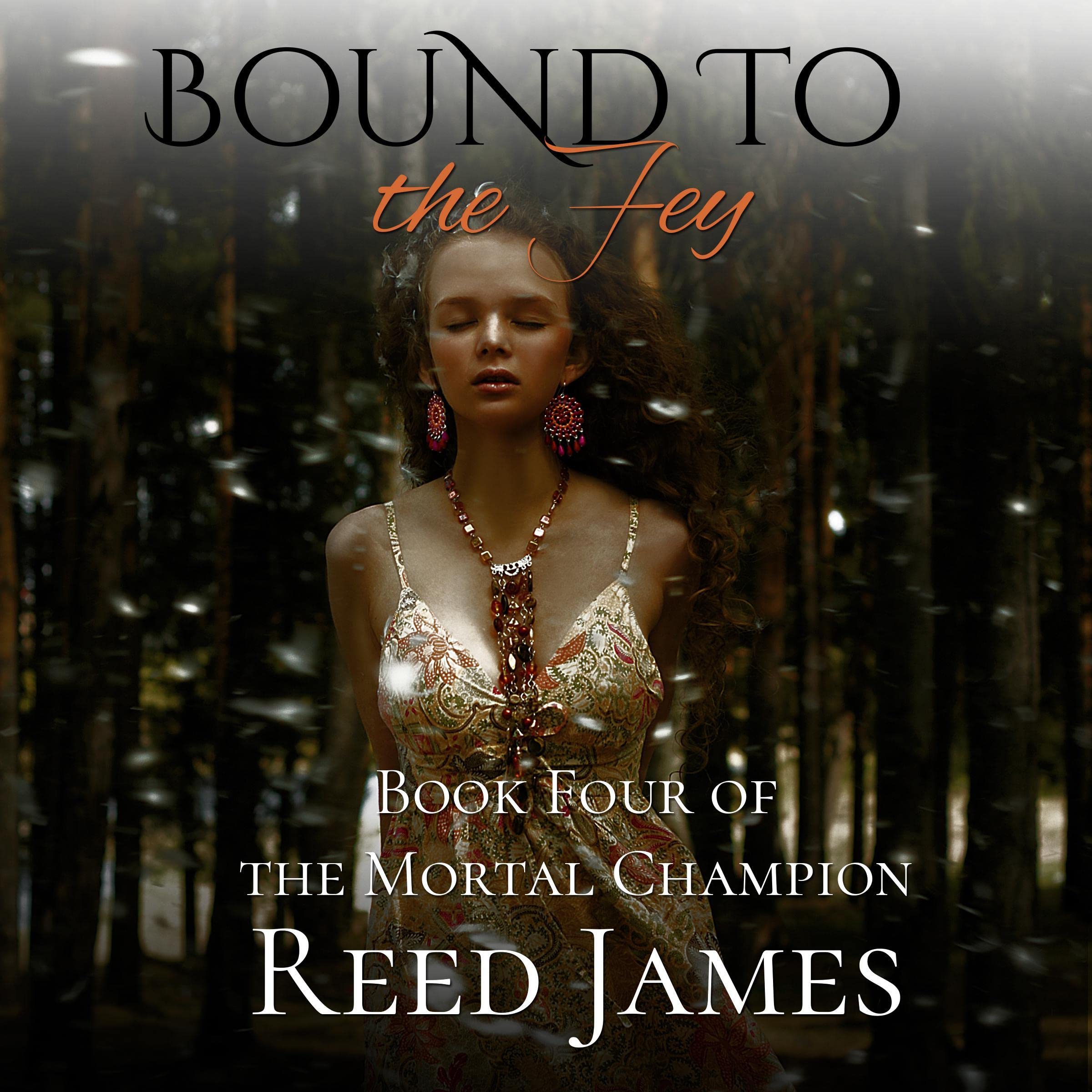 Cover art for Bound to the Fey