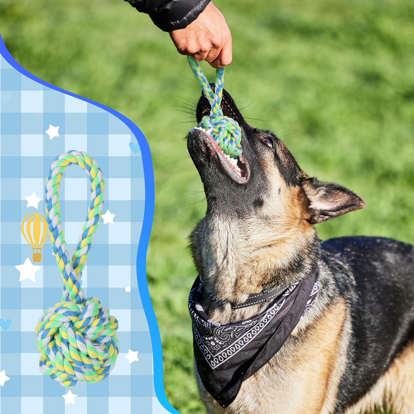Wettarn 15 Stück Hundespielzeug für aggressive Kauer, robuste Baumwoll-Hundeseilspielzeug, Hundespielzeug, robustes Hundespielzeug für mittelgroße große Hunderassen, Welpenzahnreinigung, 5 Arten