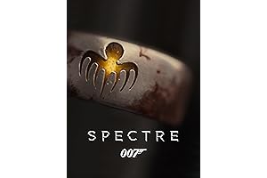 Spectre 360 13 Work Laptop