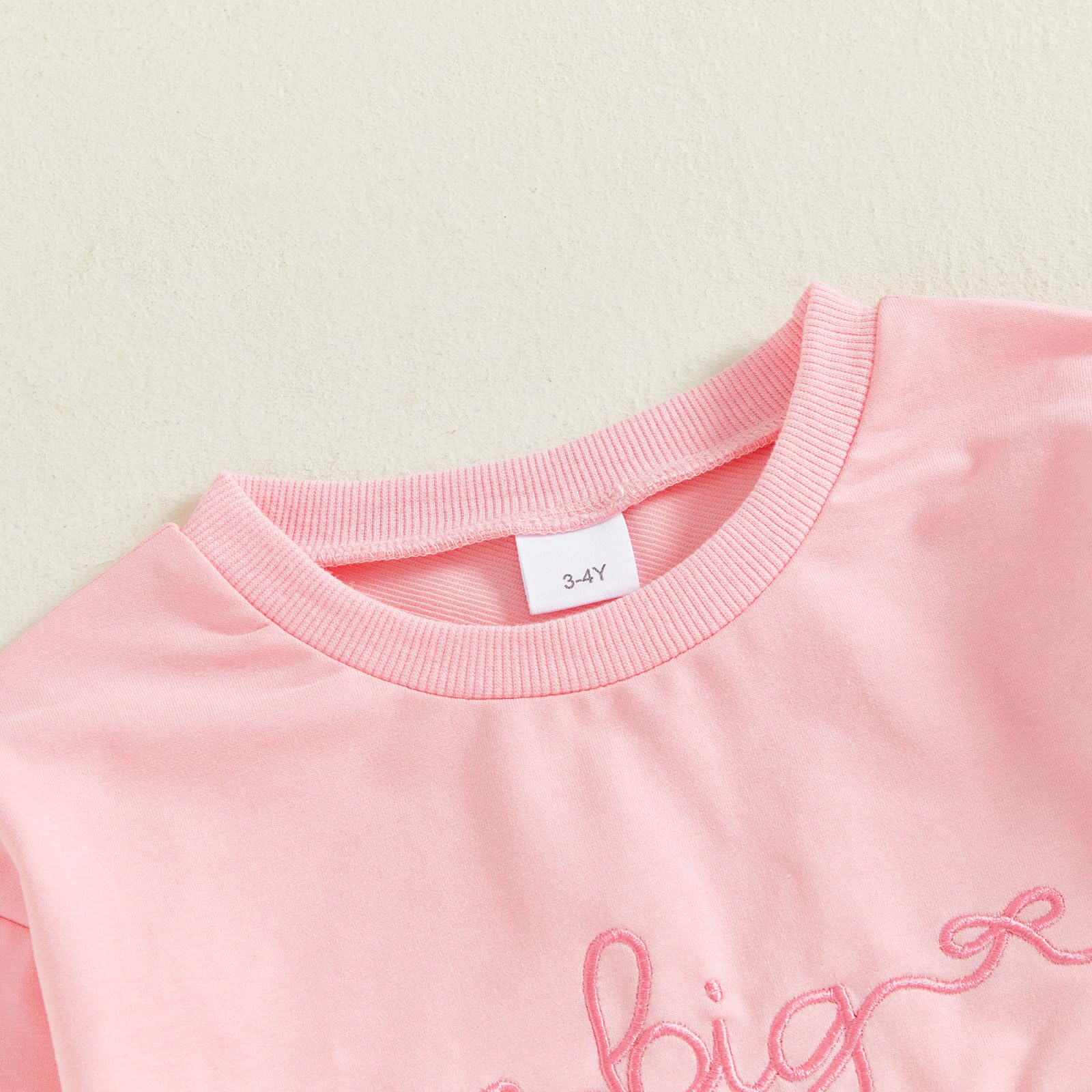 Sweat-shirt à manches longues avec nœud brodé pour petite fille, grande sœur, petite sœur, haut assorti pour bébé fille, vêtements d'automne et d'hiver