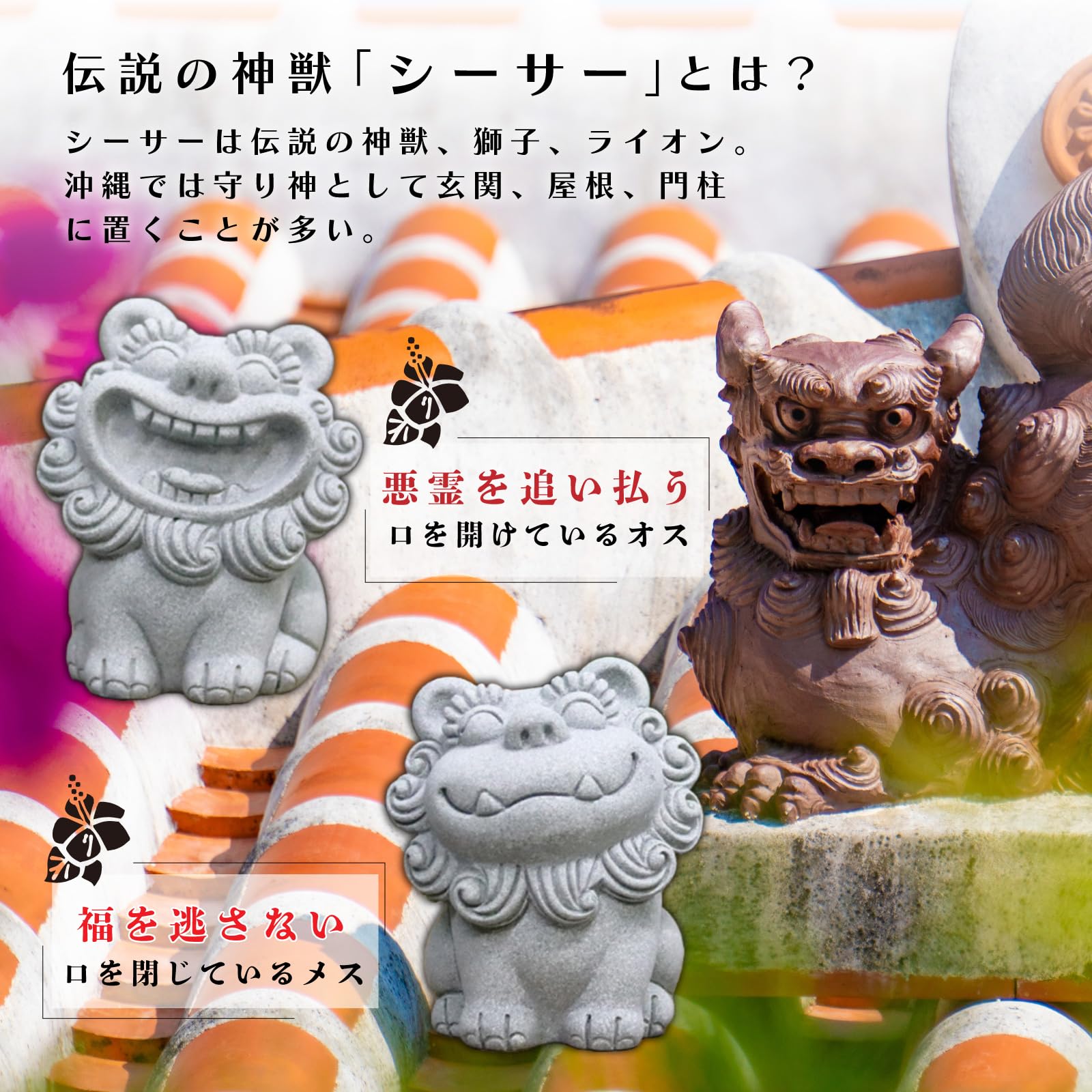 Amazon.co.jp: シーサー 置物 【沖縄の守り神】 開運 厄除け 魔除け