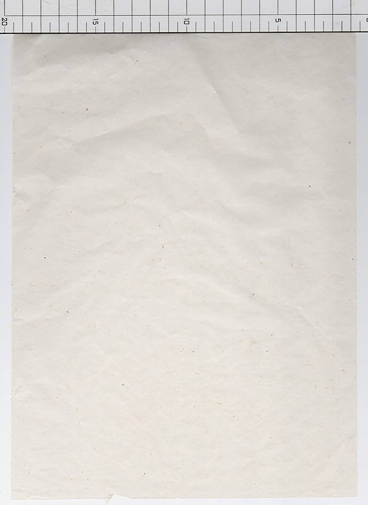 日本の紙　全一巻二冊　未使用 日本の紙 全一巻二冊 未使用