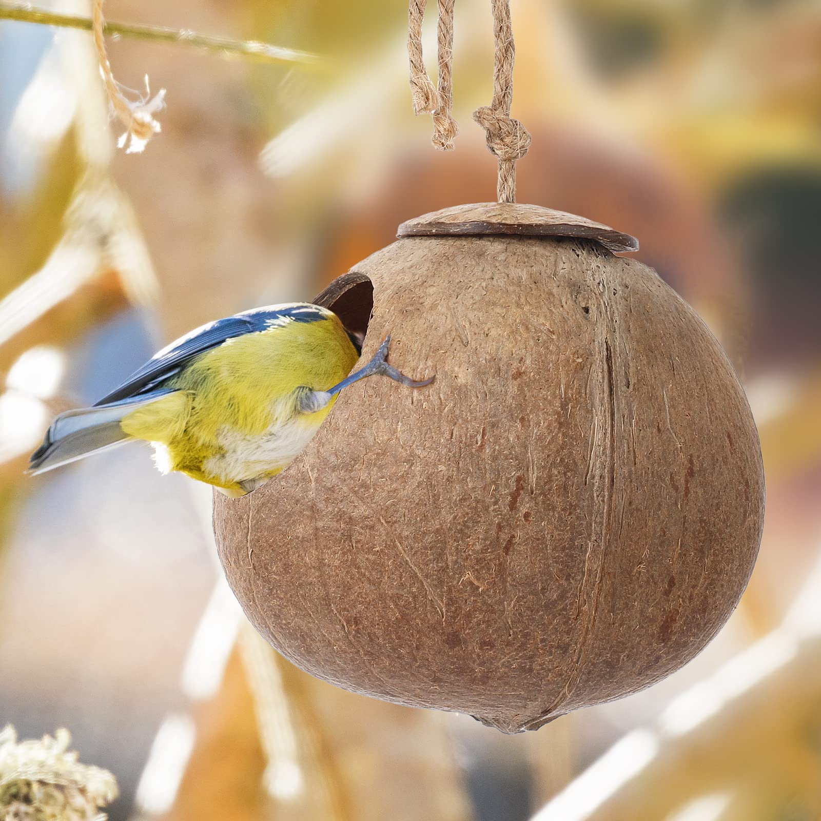 Skylety Bird Nests