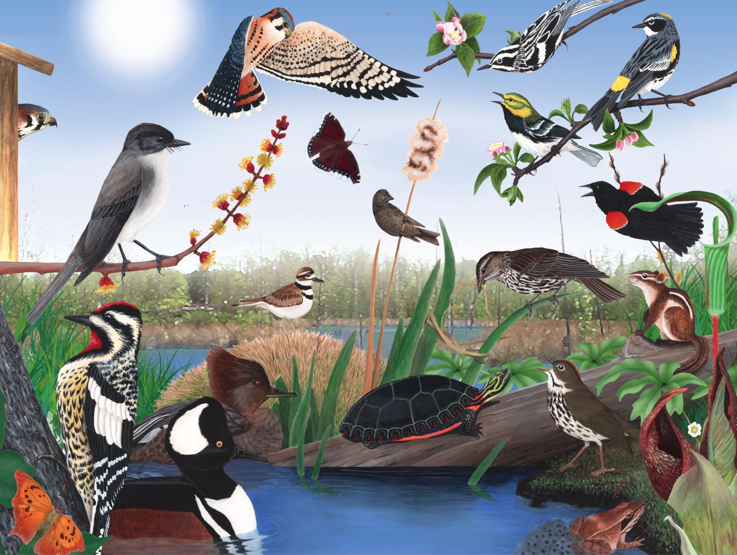 New York Puzzle Company - Cornell Lab Spring Trail - 1000 Piece Jigsaw Puzzle