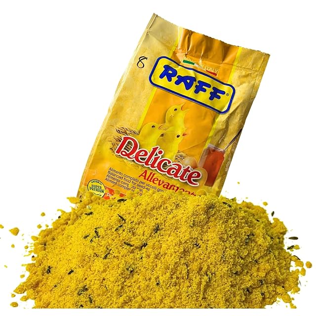 Foto 2 de 7 de RAFF Delicadas cría de 500 g con huevo y miel para pájaros grandes