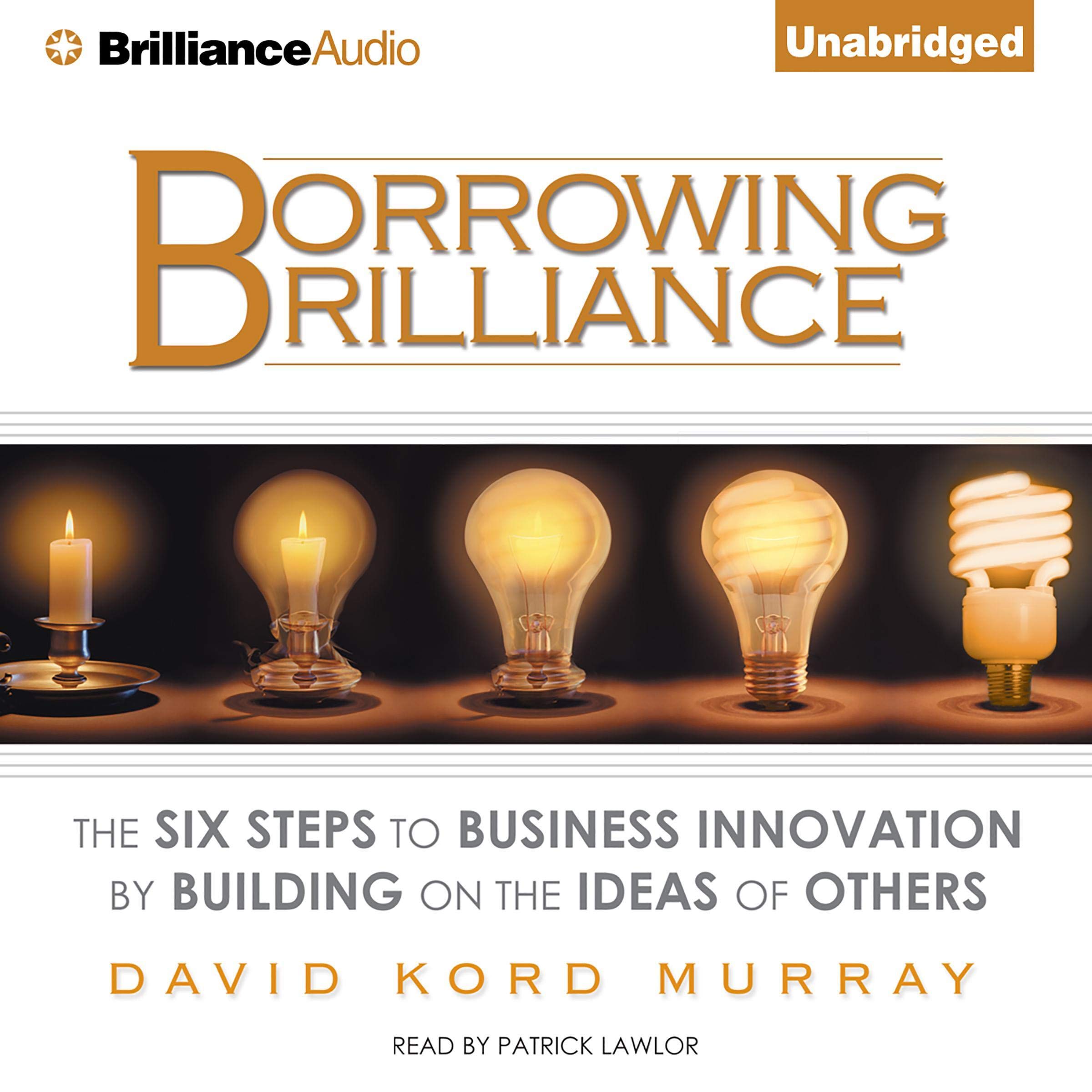 Cover art for Borrowing Brilliance