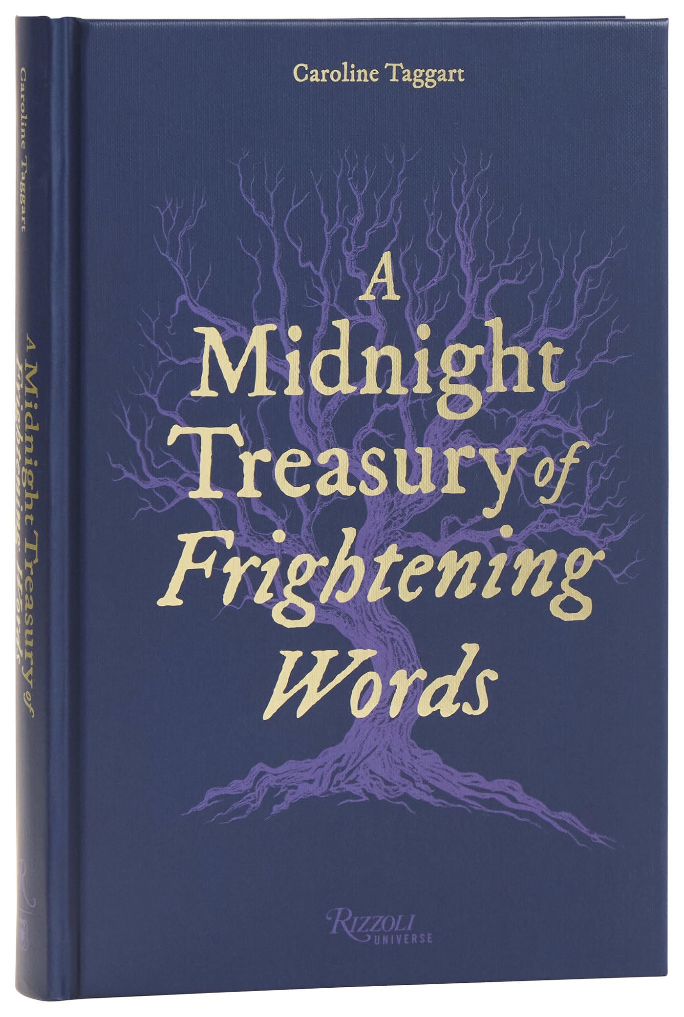 A Midnight Treasury of Frightening Words by Caroline Taggart Hardback