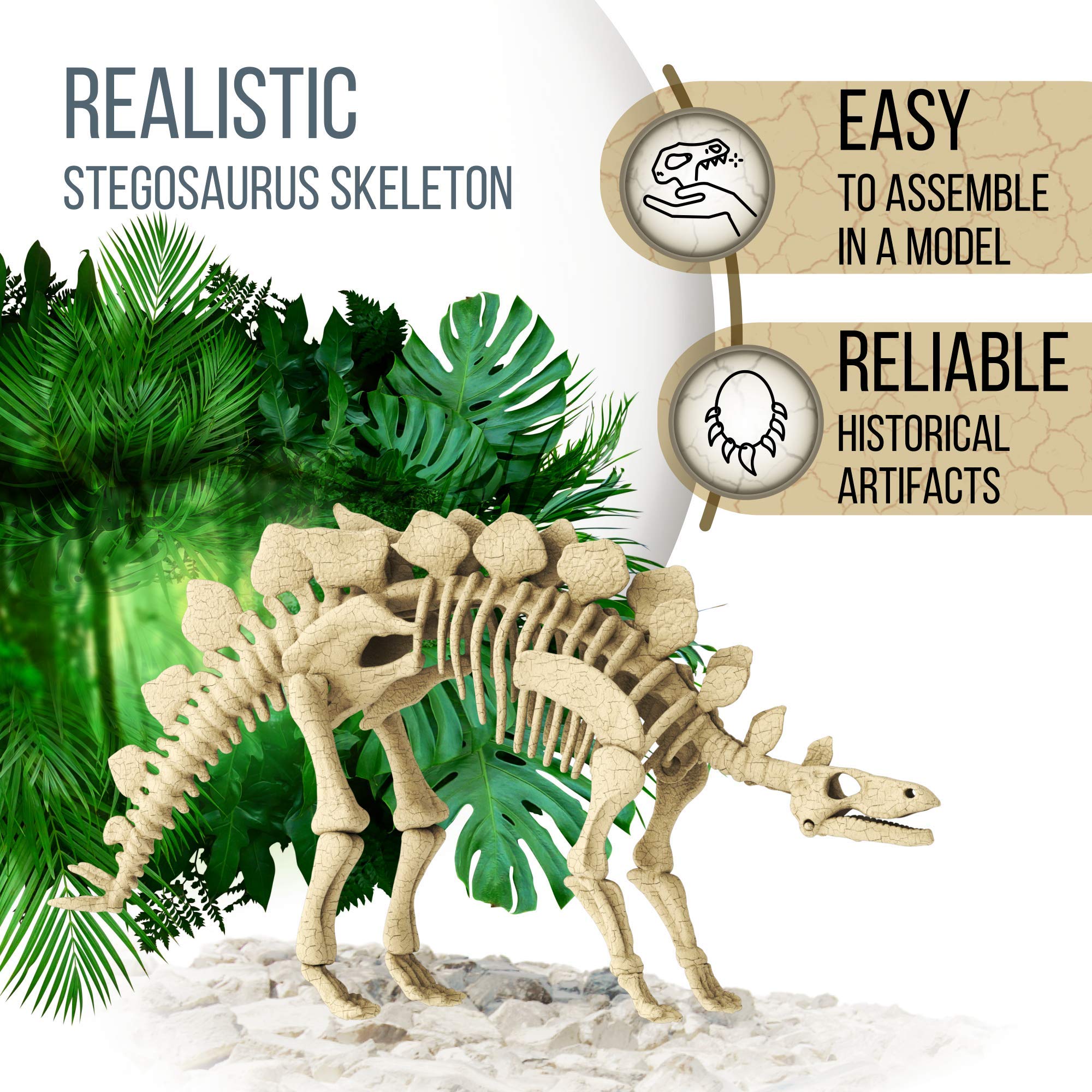 Buy DIY Dinosaur Excavation Kit Dino Fossil Kit Dig Up Dinosaurs