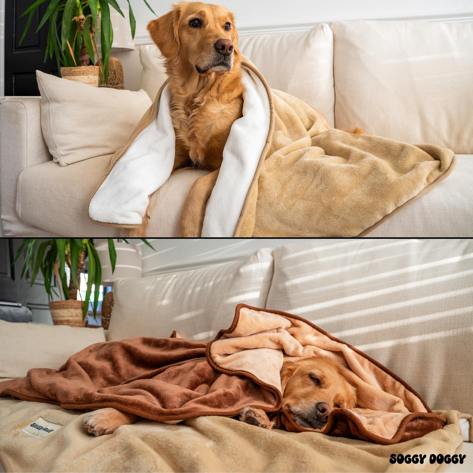 View 8