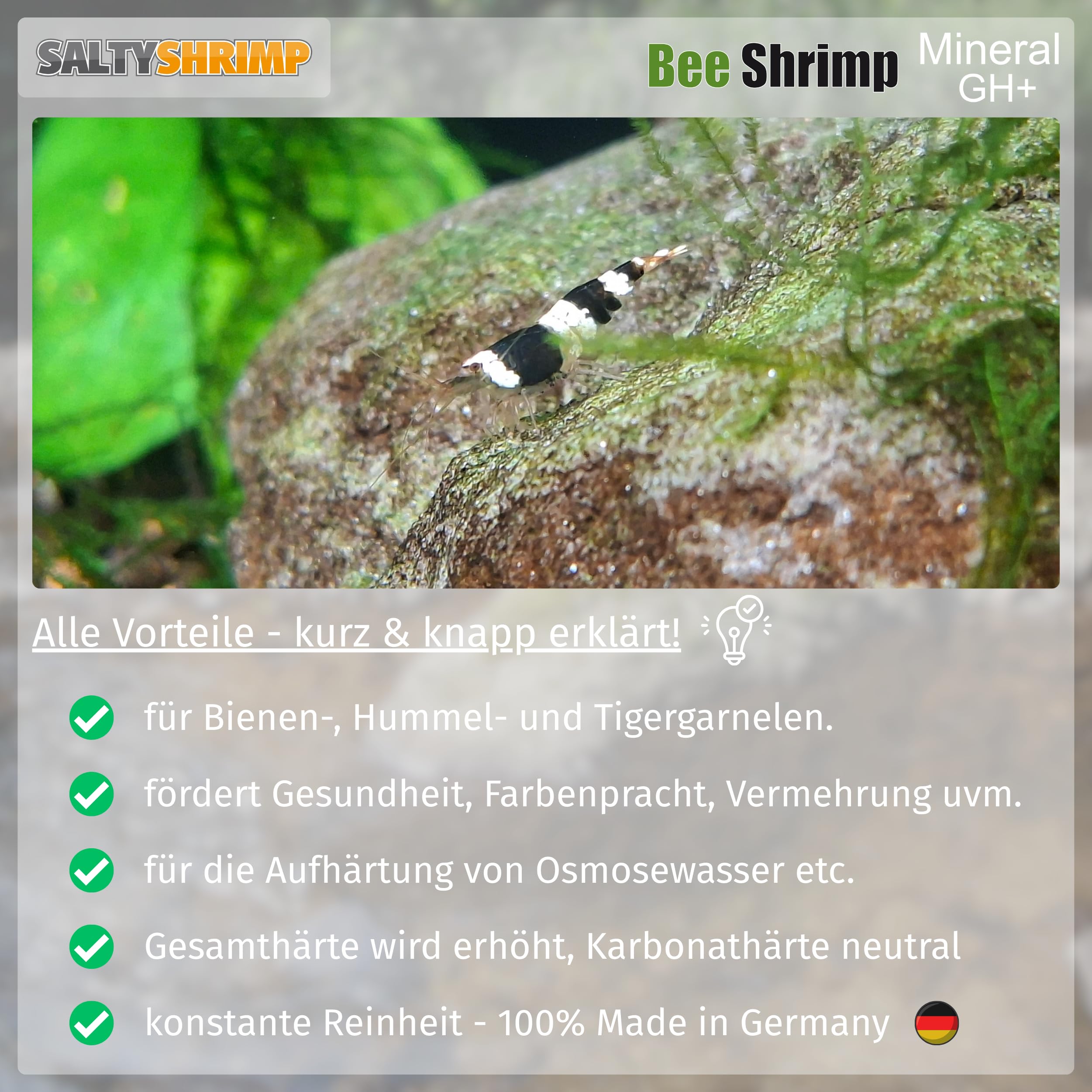 Bee Shrimp Mineral GH+ | 850g – Mineralsalz, speziell für Bienen-, Hummel- und Tigergarnelen entwickelt. Anhebung der Gesamthärte des Wassers