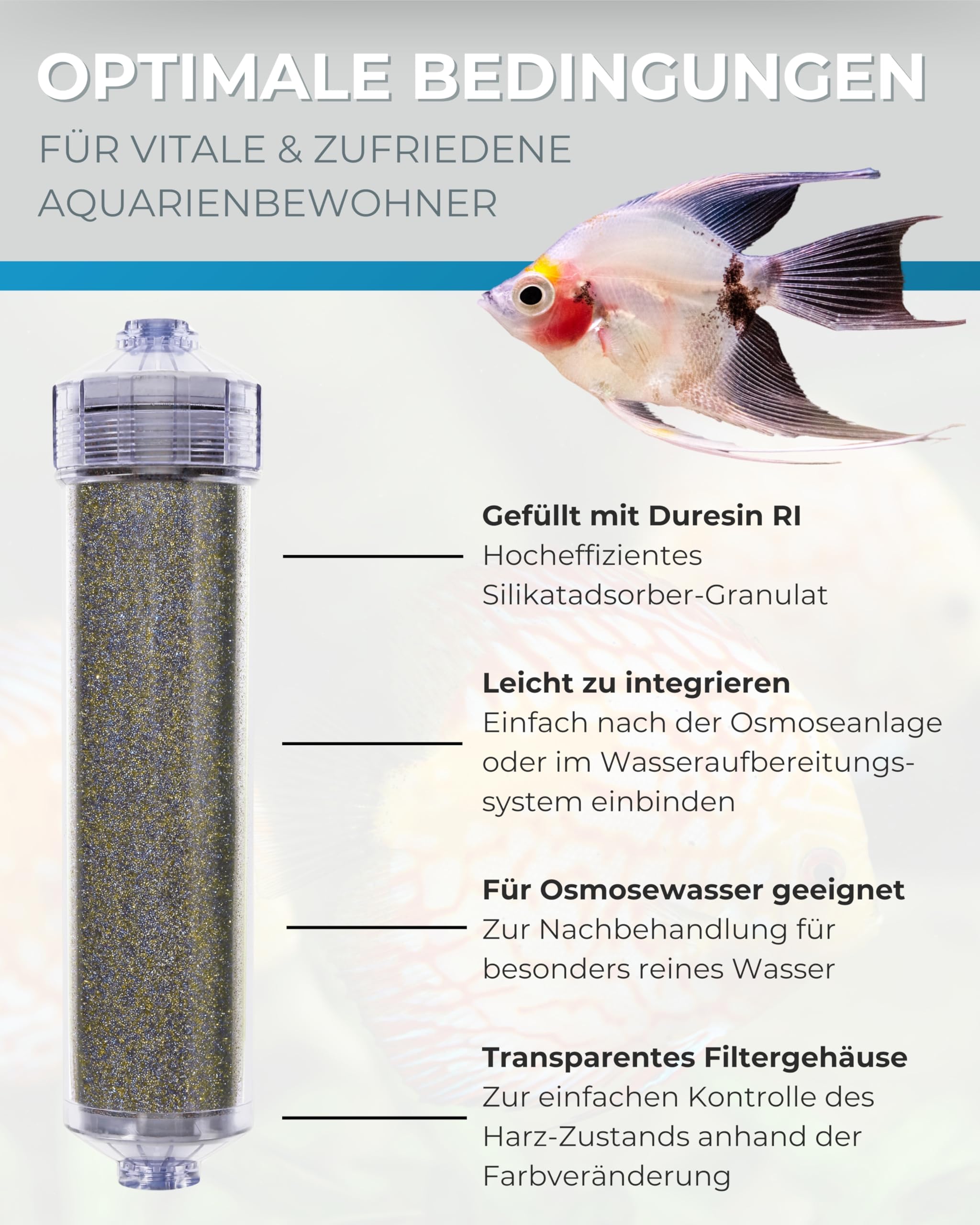 Dupla Reinstwasserfilter mit Farbindikator I 500 ml I Wasserfilter für Aquarien I Aquariumfilter zur Entfernung von Silikaten, Nitraten, Schadstoffen und Salzen I Aquarium Wasseraufbereitung