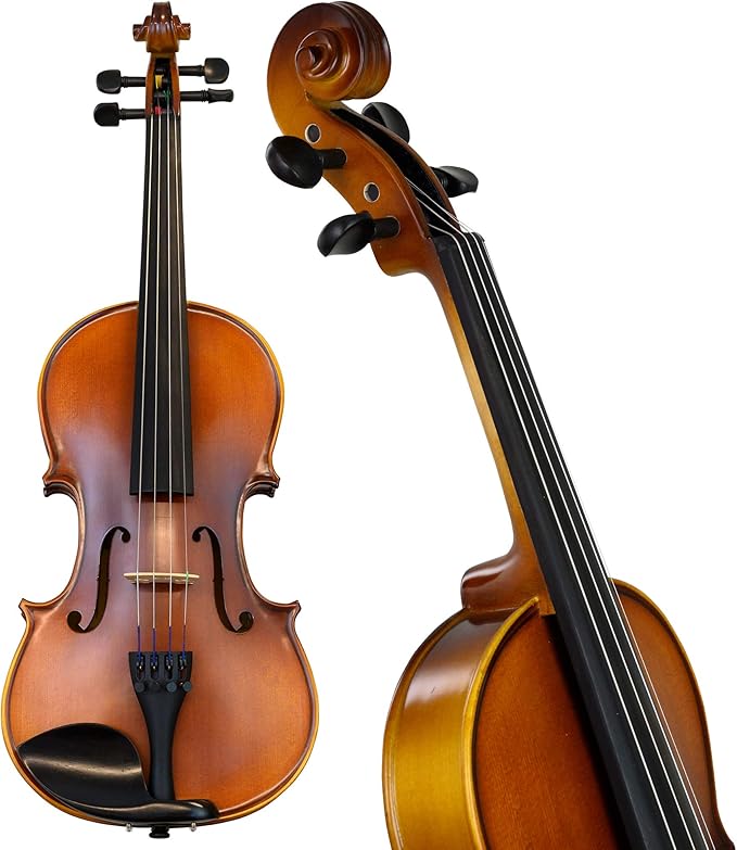 Photo of : Violin