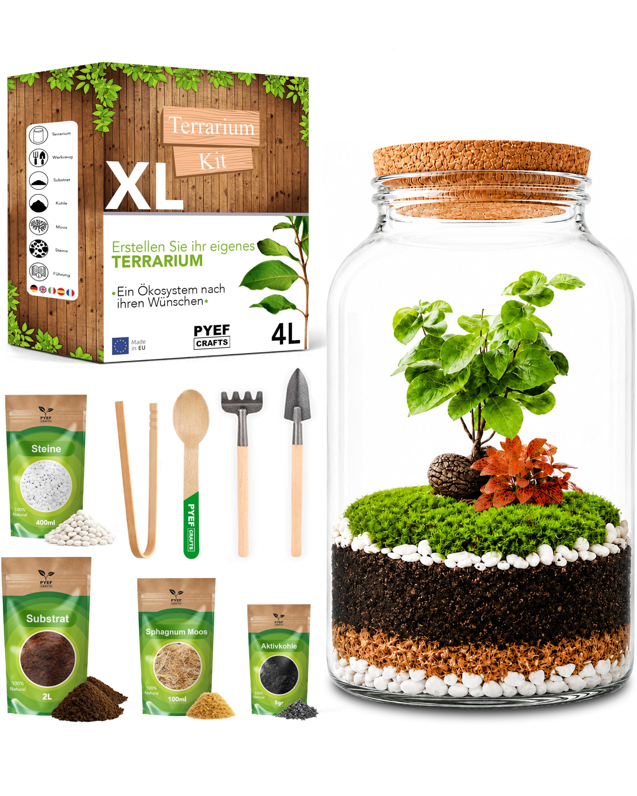 Flaschengarten Komplettset XL für Ökosystem im Glas - 4L Terrarium Pflanzen für Biotop Im Glas - Biosphäre Terrarium Set - Kit Ohne Pflanze (Flaschengarten Groß 4L)