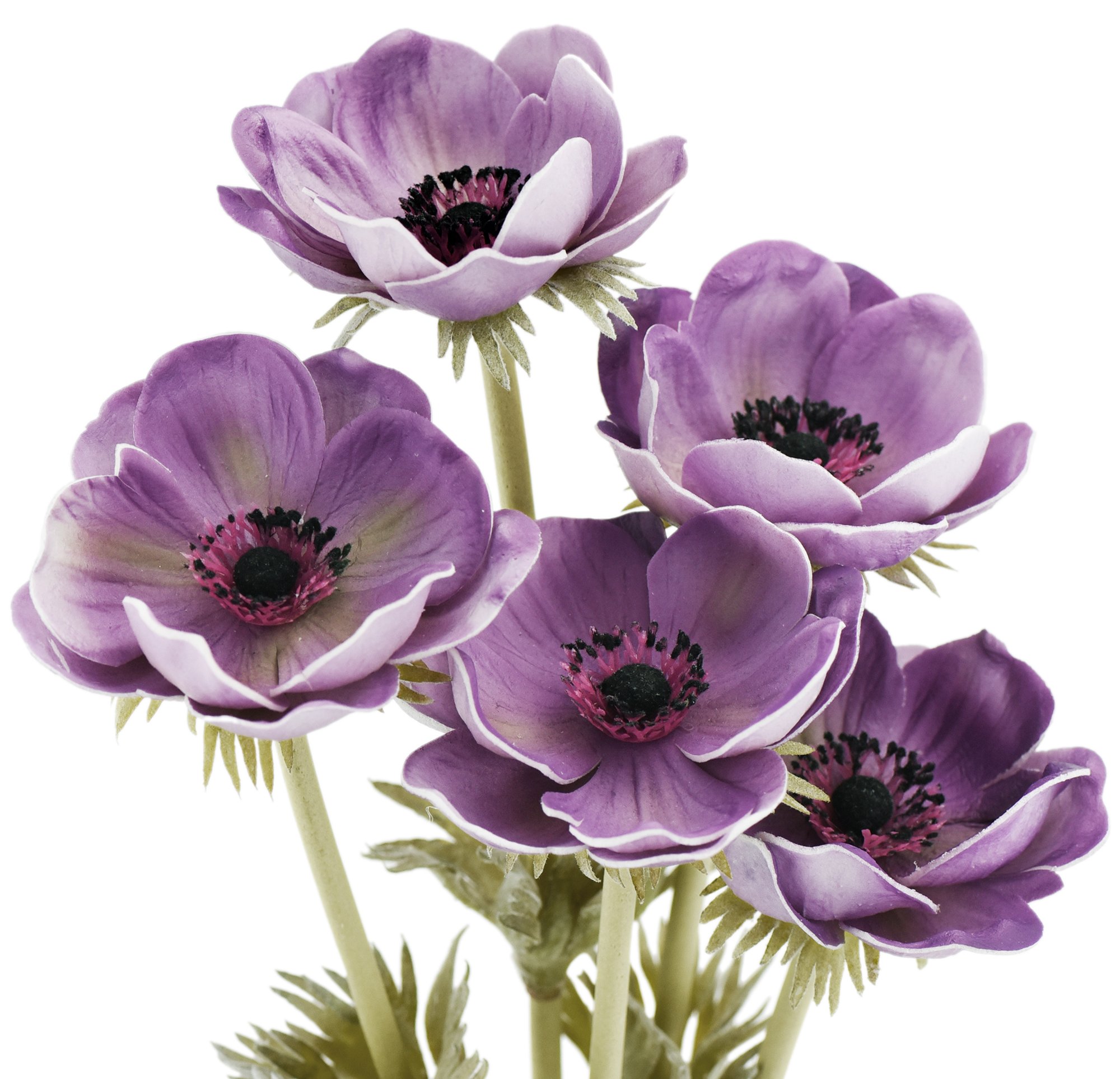 Amazon｜FiveSeasonStuff 5本 紫 アネモネ 造花 イチリンソウ 花束