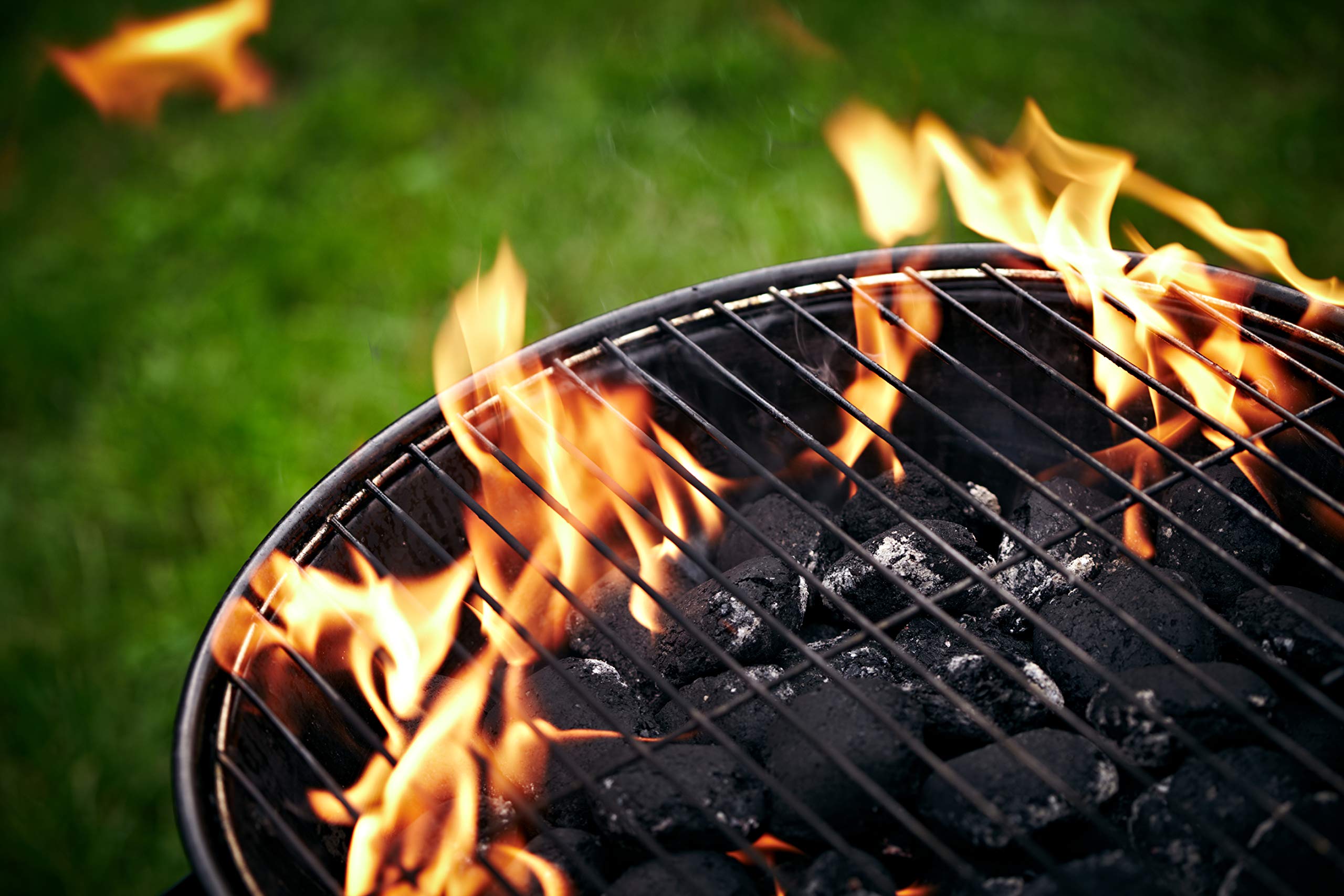 C.A.O. - Barbecues ronds "FAMEUX" en Acier - Hauteur 56,5 cm - Diamètre ø 35 cm, Noir