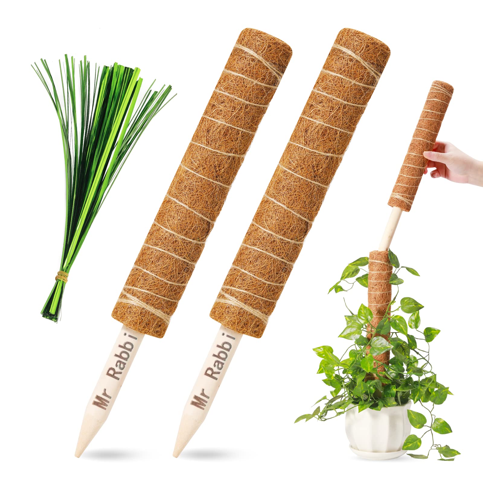 Buy Mr Rabbi Moss Pole 2 Pack 12 Inch Moss Pole for s Monstera, Total