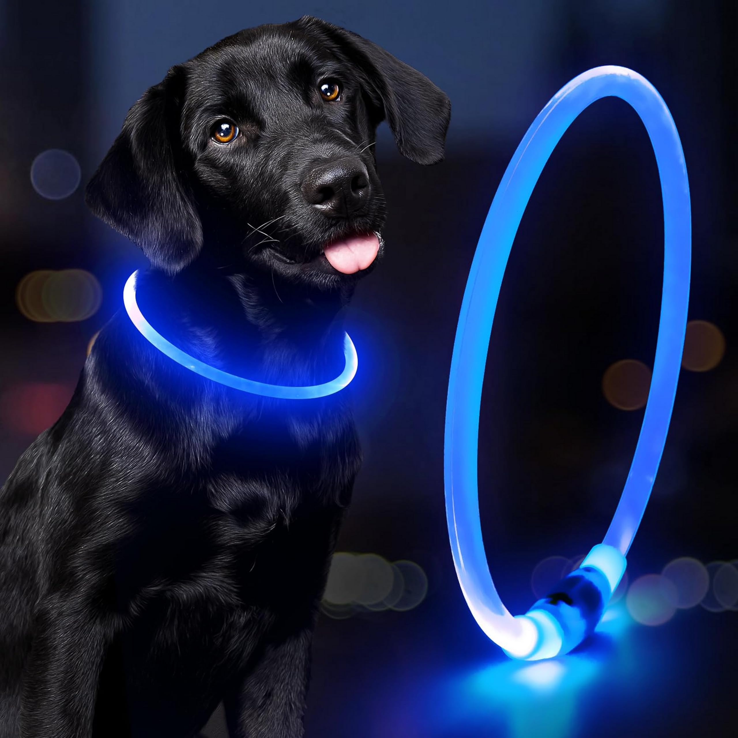 Light Up Dog Collar USB Rechargeable Flashing Dog Collar for Dark – Safety High Vis Neon Dog Lights for Night Walking, Dog Harness Light illuminous Dogs Collar Cut to Size for Small Dogs & Puppies