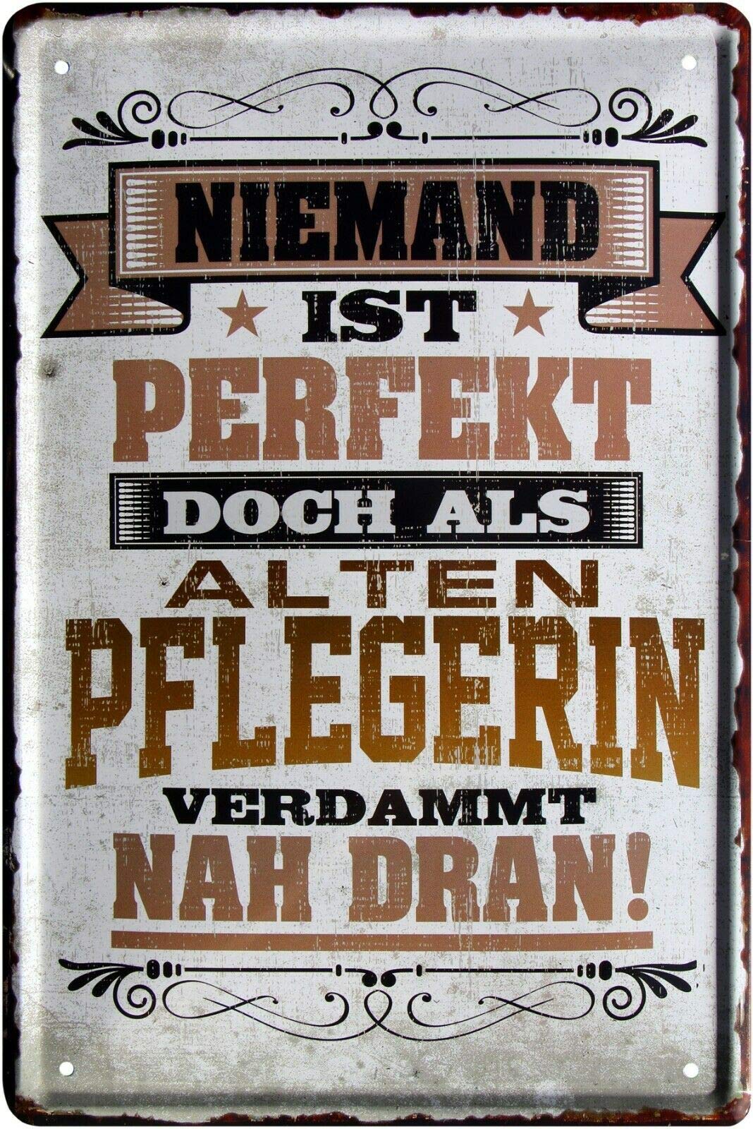 Blechschild 'Niemand Ist Perfekt, Doch Als Altenpflegerin' | 20x30 Cm, Vintage-Design | Witziger Spruch Für Deko & Geschenk