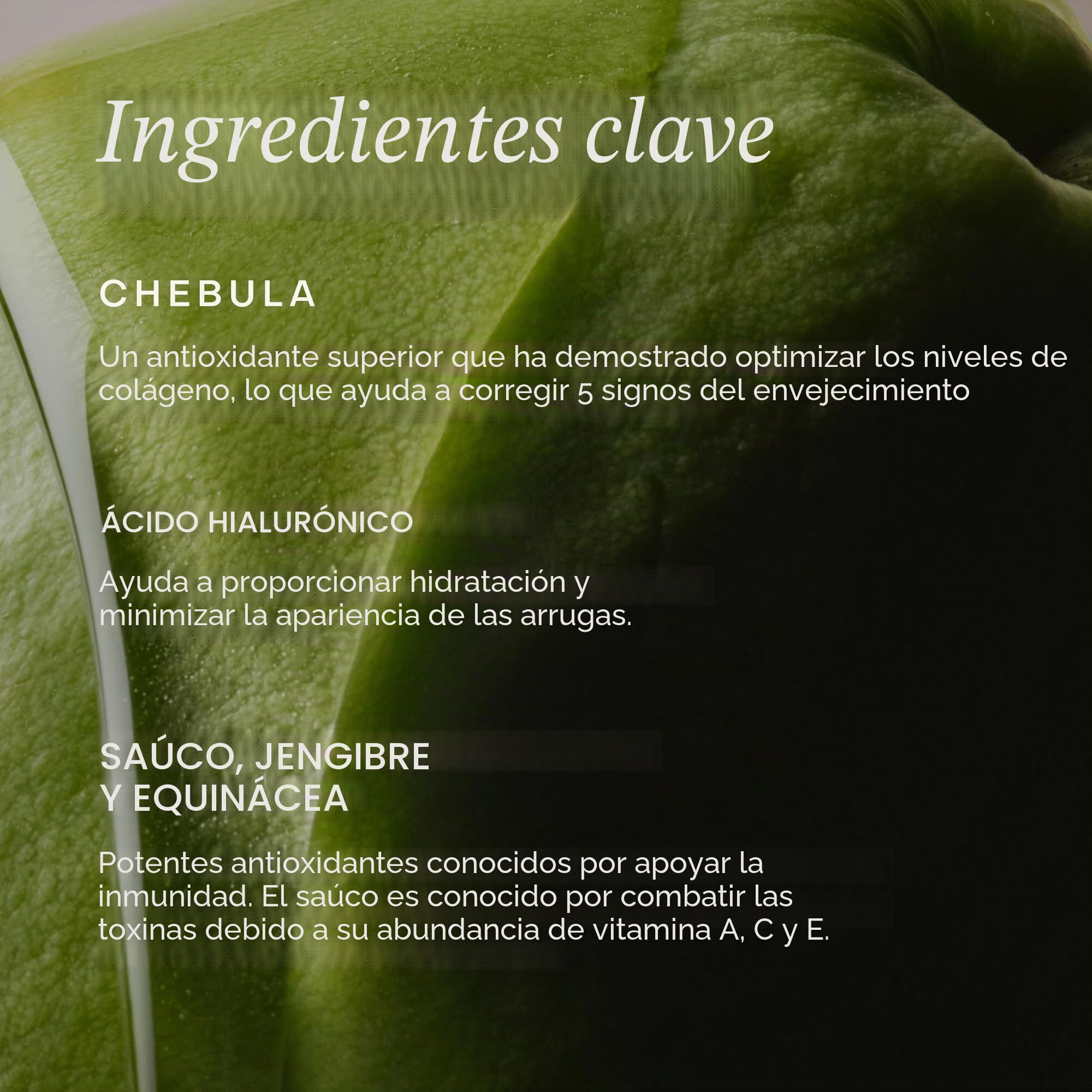 True Botanicals - Sérum natural Chebula Active | Cuidado de la piel natural, no tóxico, (30 ml)