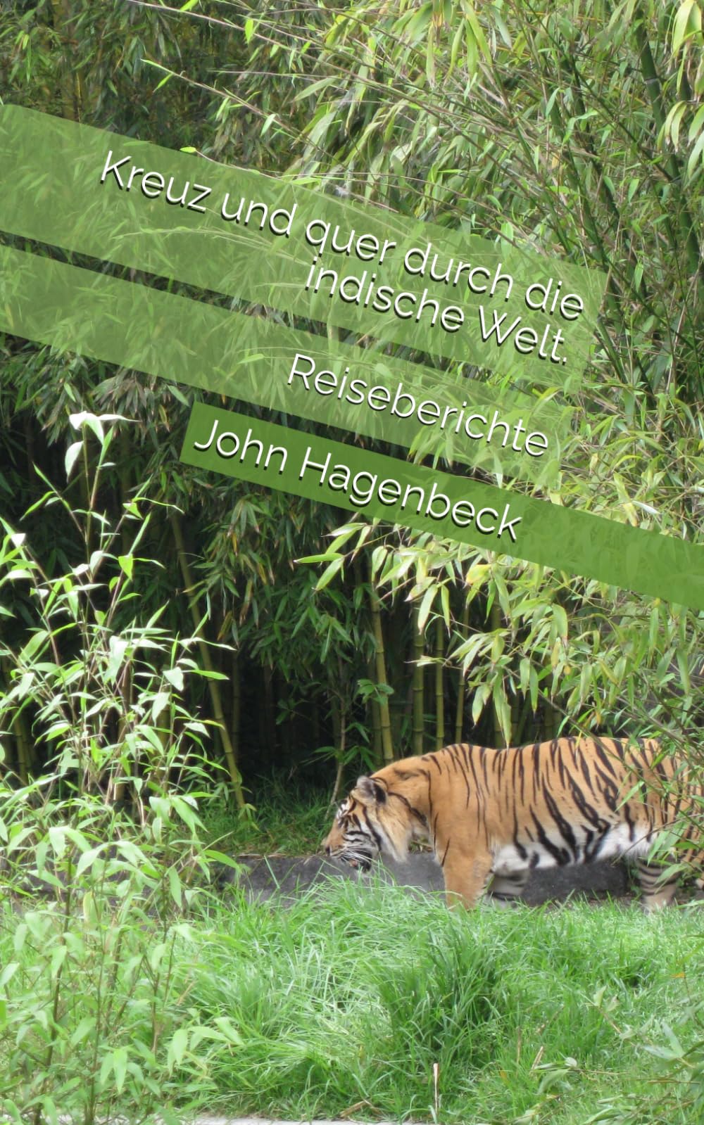 Kreuz und quer durch die indische Welt.: Reiseberichte