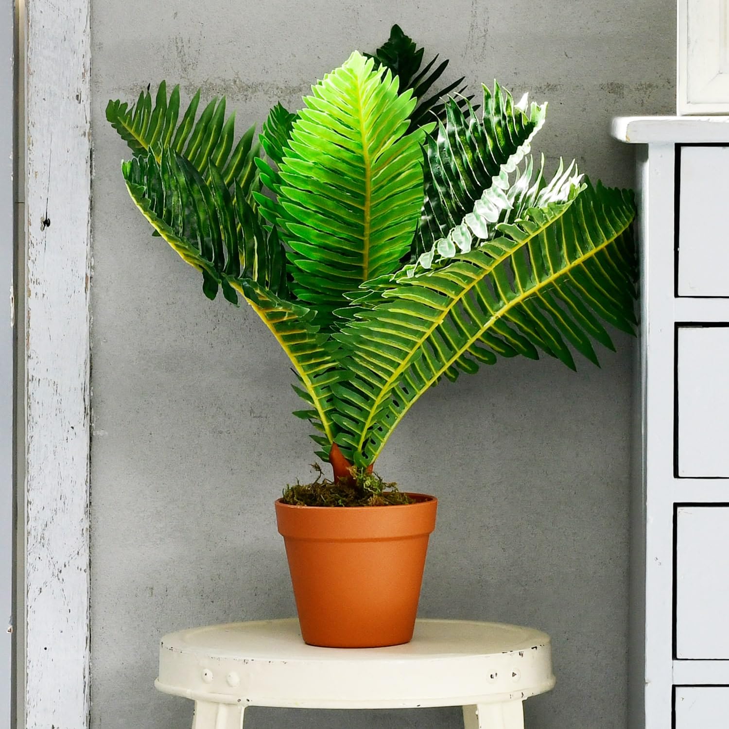 Amazon.co.jp: 山善(YAMAZEN) フェイクグリーン 高さ50㎝ 水やり不要