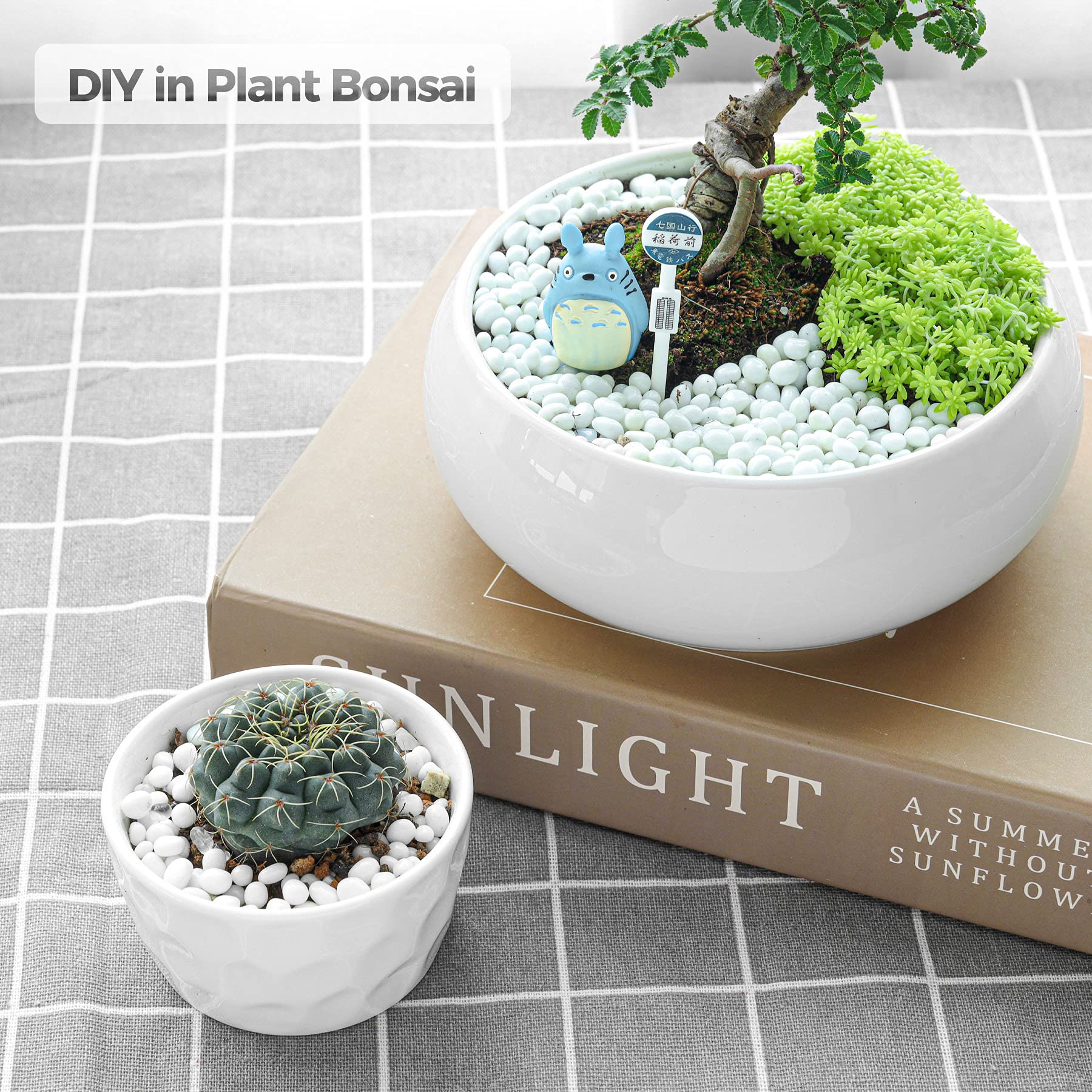 T4U Pierres de Galets pour Jardins, Aquariums Pots de Fleurs et Décoration de Sable et de Pierres, 2 LB de Galets Irrégulièrement Formés, Petits Cristaux Naturels d'Agate, Terrarium DIY, 900g.