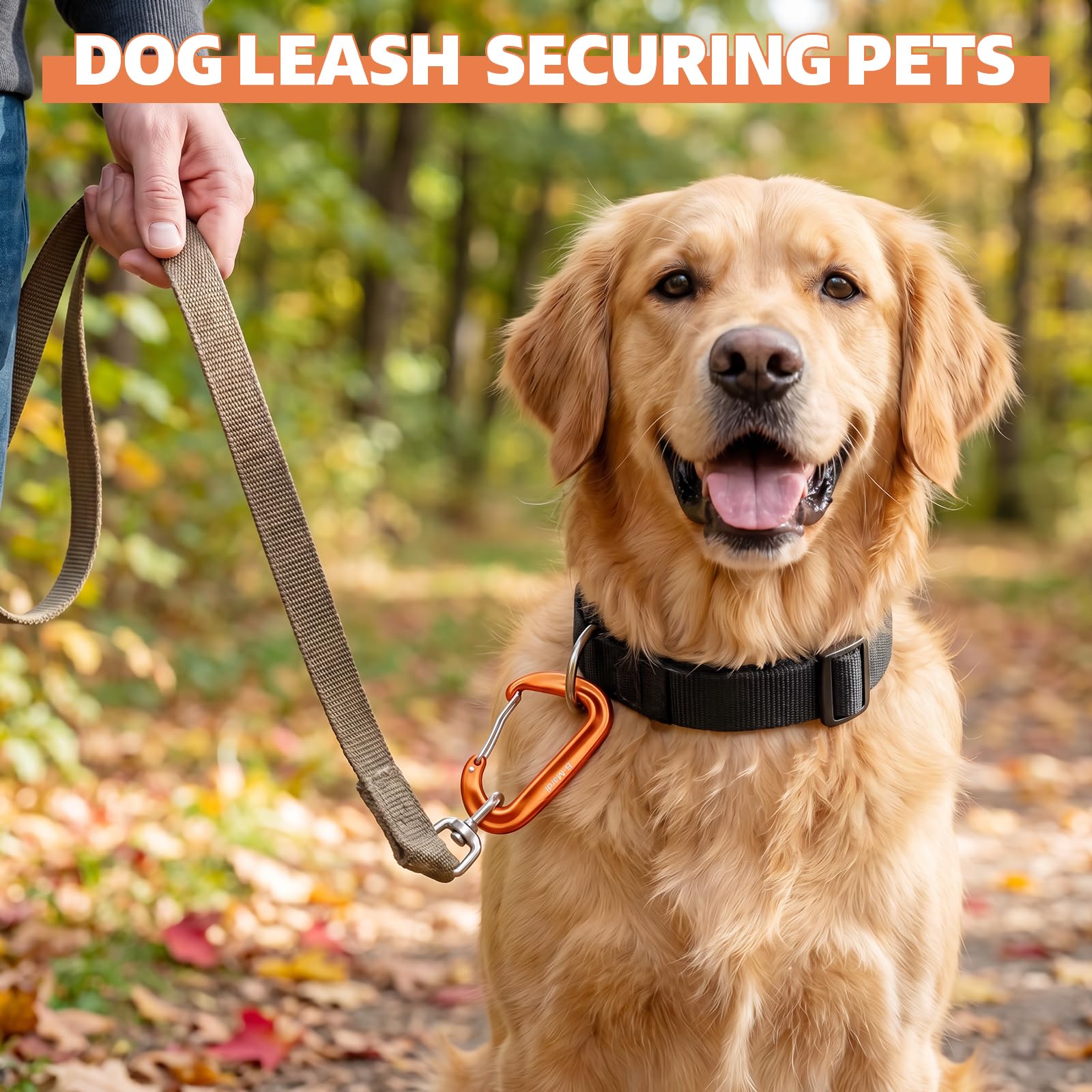 B-Mardi Moschettone Heavy Duty,4 pacchetti,12Kn (3000 libbre) Caribeaners Heavy Duty,Alluminio Wiregate caribeener clip per amaca, portachiavi, campeggio, guinzaglio per cani, escursionismo e utilità