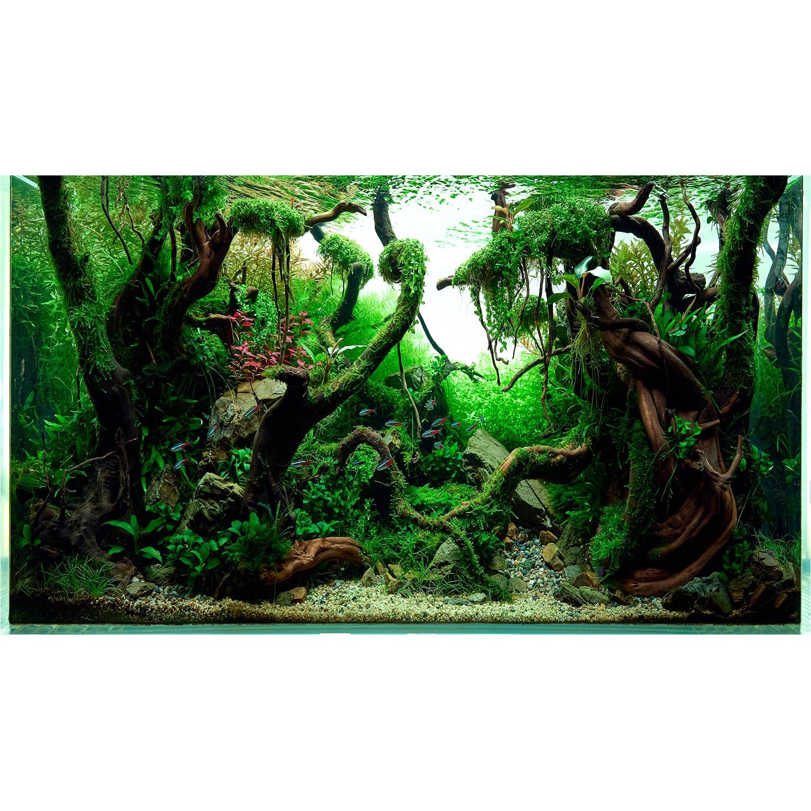 Aquarium Background Underwater Pebble Grass Leaves Aquarium Backdrop Vivid Fresh Green Aquatic Plant Stone River Bed Aquarium Backdrop Deadwood Purple Leaves Tank Background Vinyl 60x24in