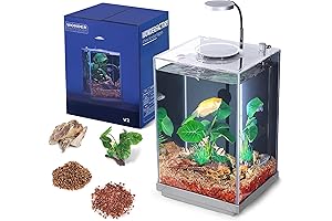 3 Gallon Aquarium: A Comprehensive Starter Kit for Aquatic Enthusiasts