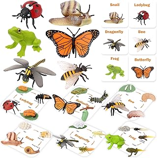 Montessori Life Cycle Animal Figurines Learning & Education Toys, Plastic Insect Snail Ladybug Bee Dragonfly Monarch Butterfly Tadpole to Frog Kit Toy, Preschool Learning Activities Science Toys