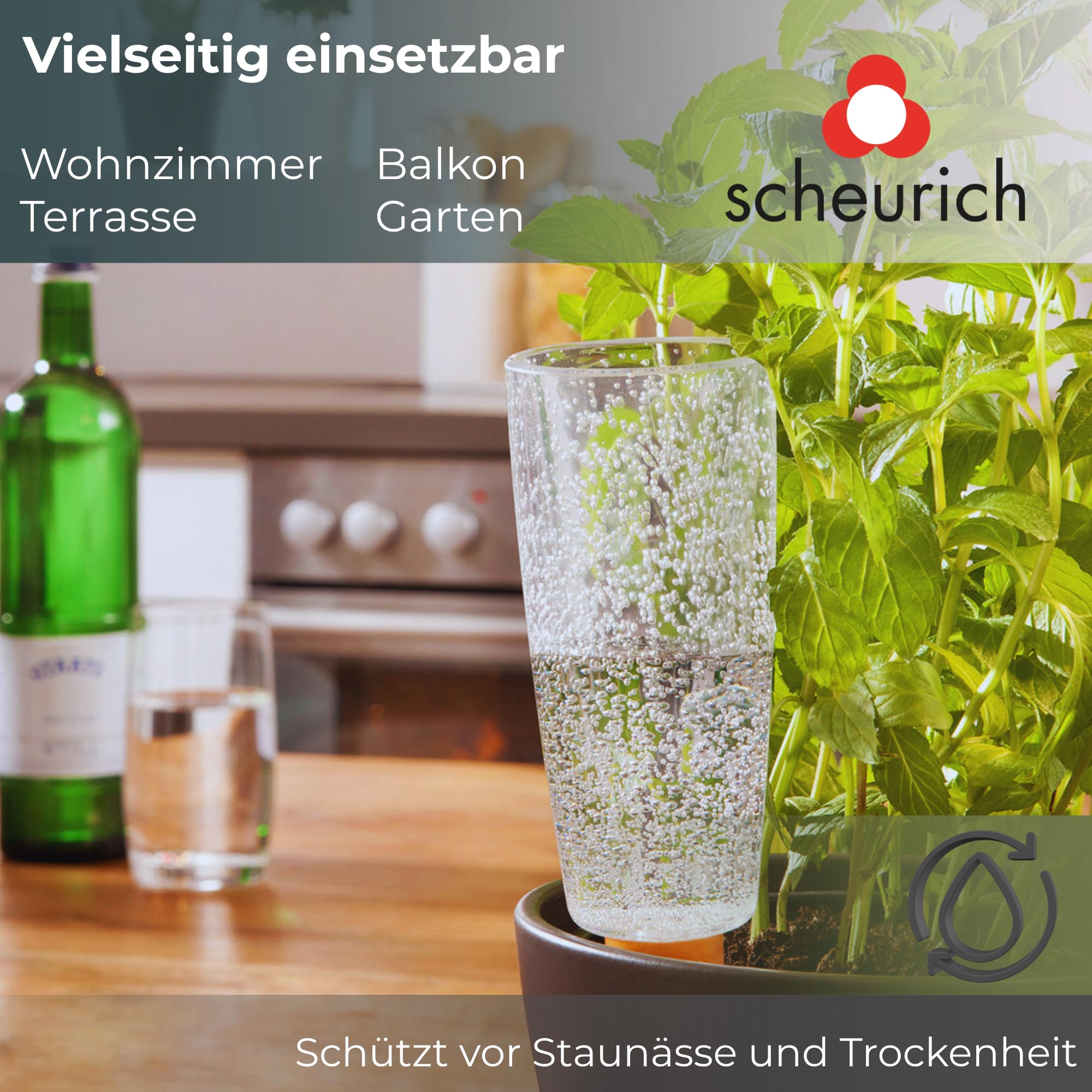 Scheurich Copa M Distributeur d'eau, distributeur d'eau, boule d'irrigation, vert transparent (4, transparent)
