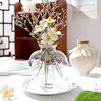 Vista 5 de Magic Season Botellas de vidrio decorativas con tapones de corcho (botellas en forma de corazón de 12 fl oz/2 piezas)