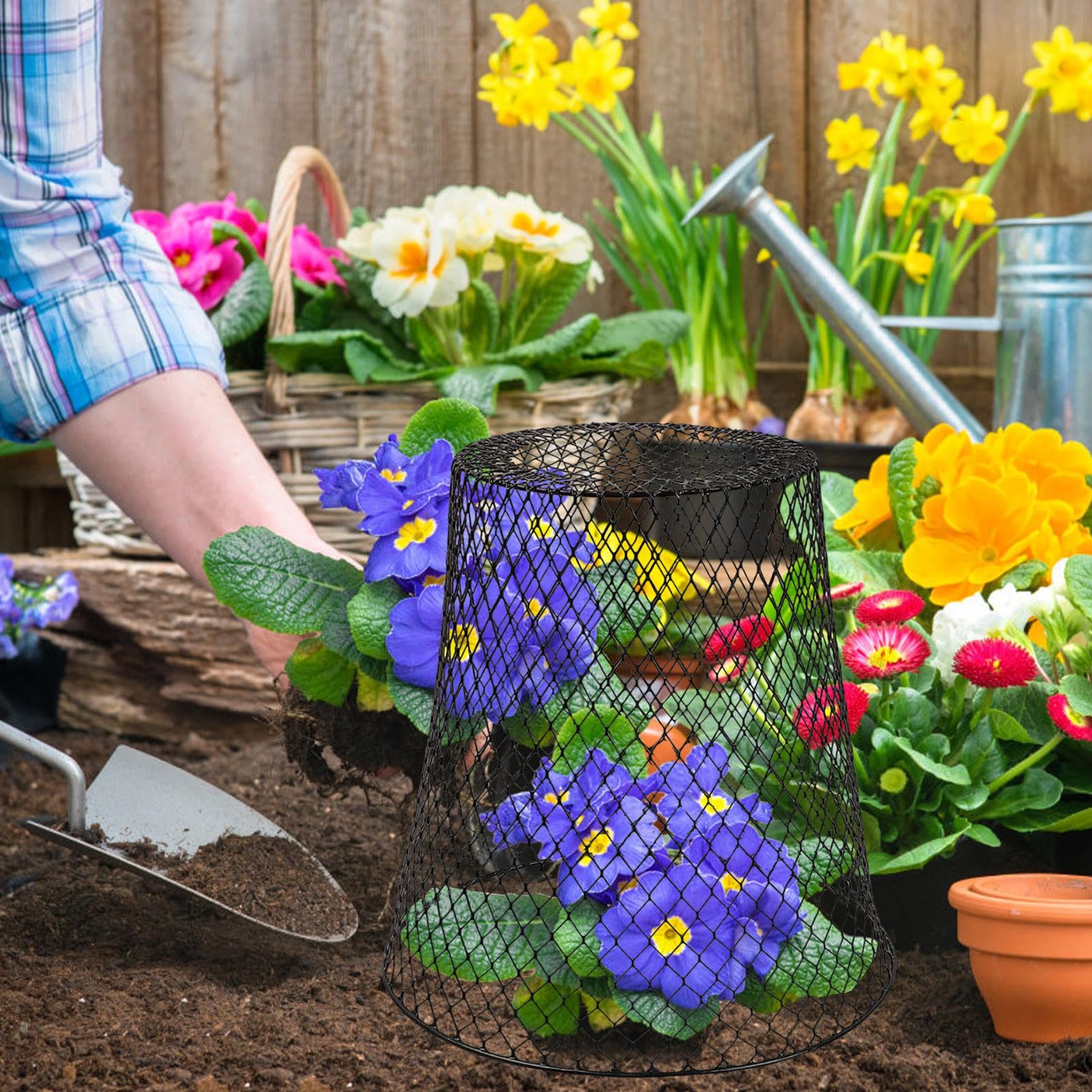 Cloches pour plantes de jardin, cloche en fil de poulet, protection et couvercle pour plantes, cage en métal, protection de jardin contre les animaux, cloche de jardin en métal pour plantes, panier de