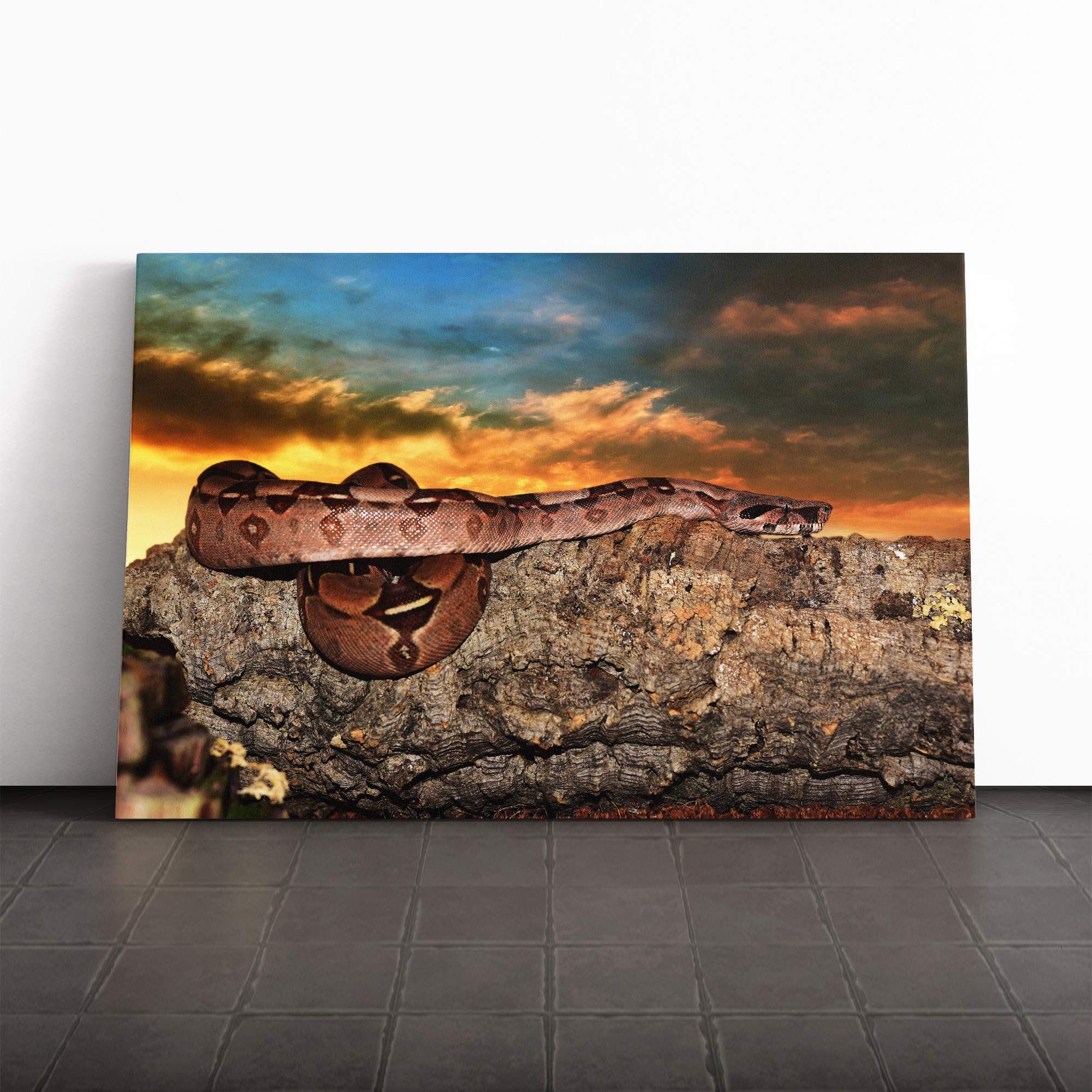 Emperor Snake Canvas Print | Gallery Wrapped 30mm Frame Wall Art | 24x16 inches | Ready to Hang | Modern Animals Picture | Living Room Bedroom Lounge Office