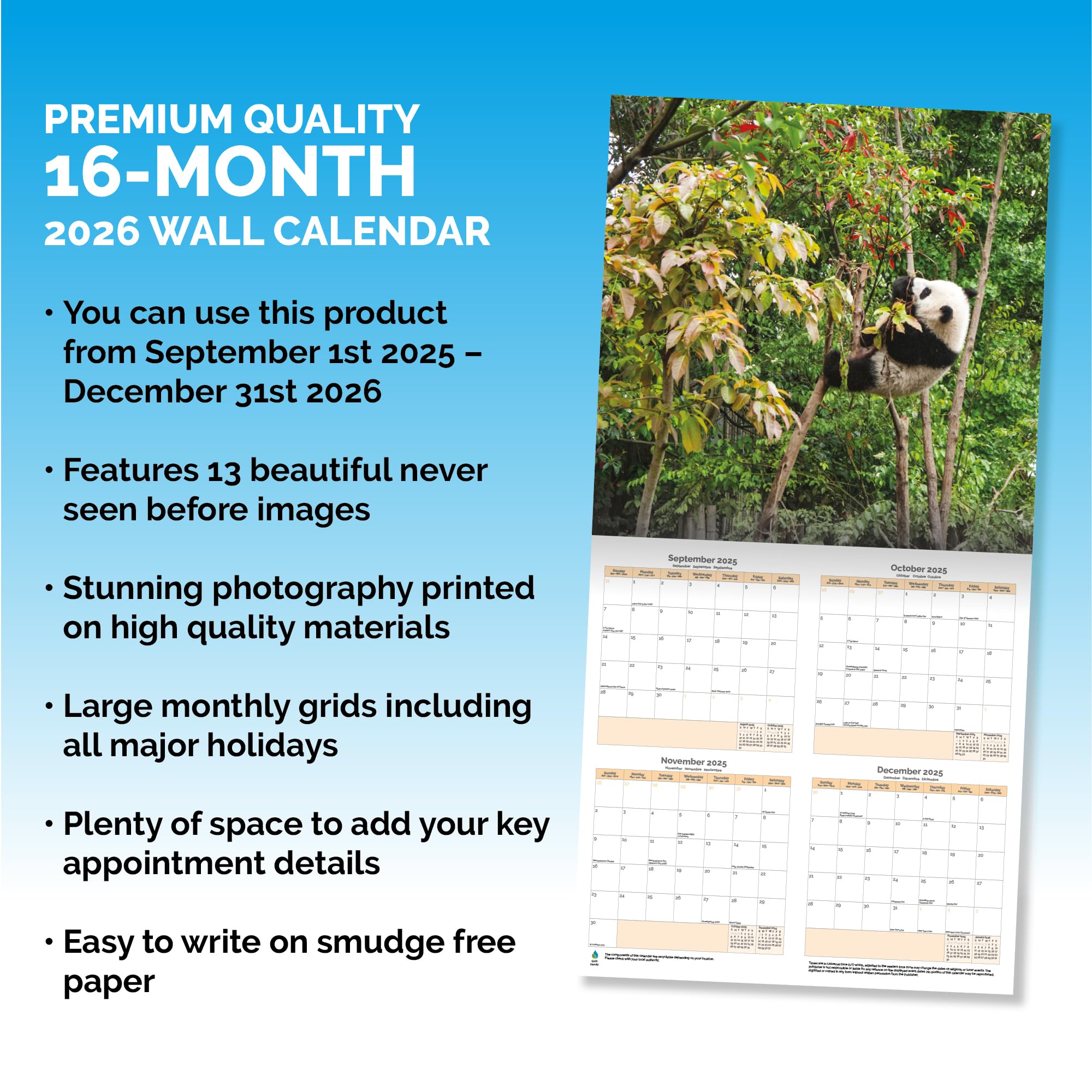 Calendario 16 Meses Regalo Navidad GEO - A La Luz Del Norte 2025: Calendario De Pared De Gran Formato 50 X 45 Cm Con Impresionantes Imágenes De Aurora Boreal Calendario Ecológico Papel FSC