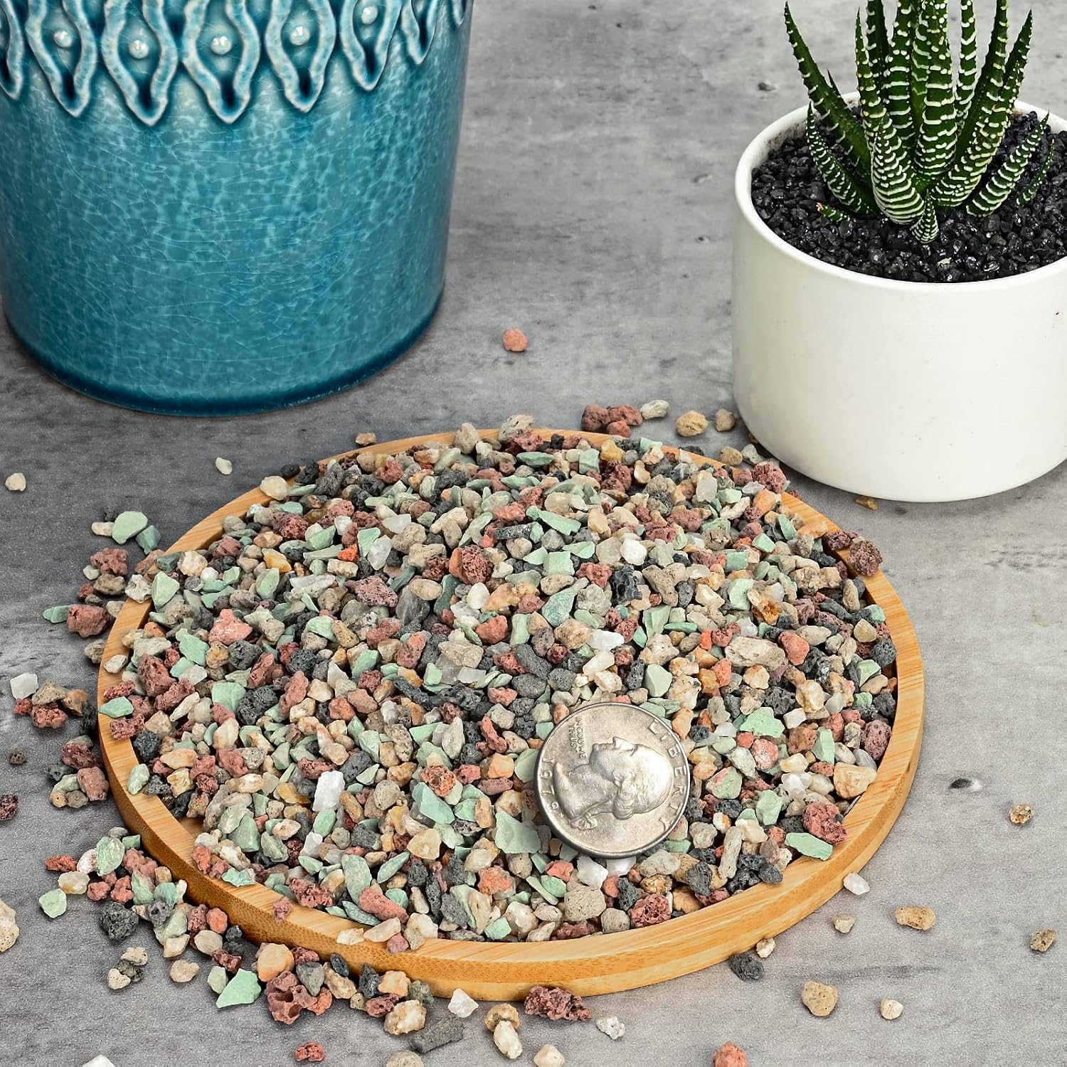 Bonsai Gritty Mixed Rocks, Succulent Cactus Top Dressing Stones, Small Horticultural Decorative Gravel Pebbles for Indoor Potted Plants, Terrarium, Aquarium, Fairy Garden, DIY, 1.5 LB